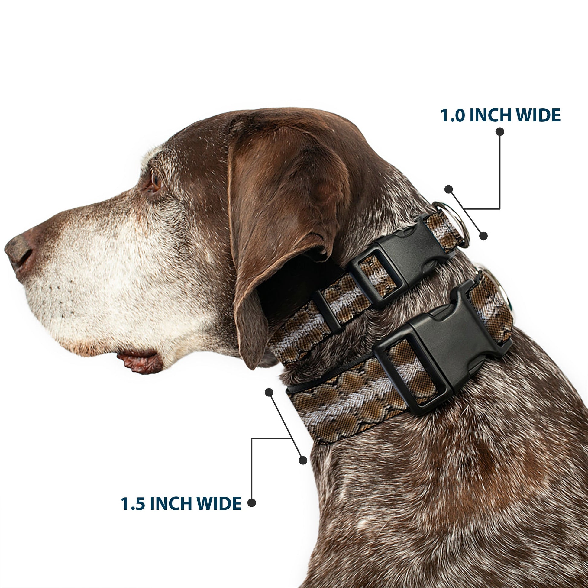 Plastic Clip Collar - Snake Skin 2 - Premium Dog Collars - Buckle - Down