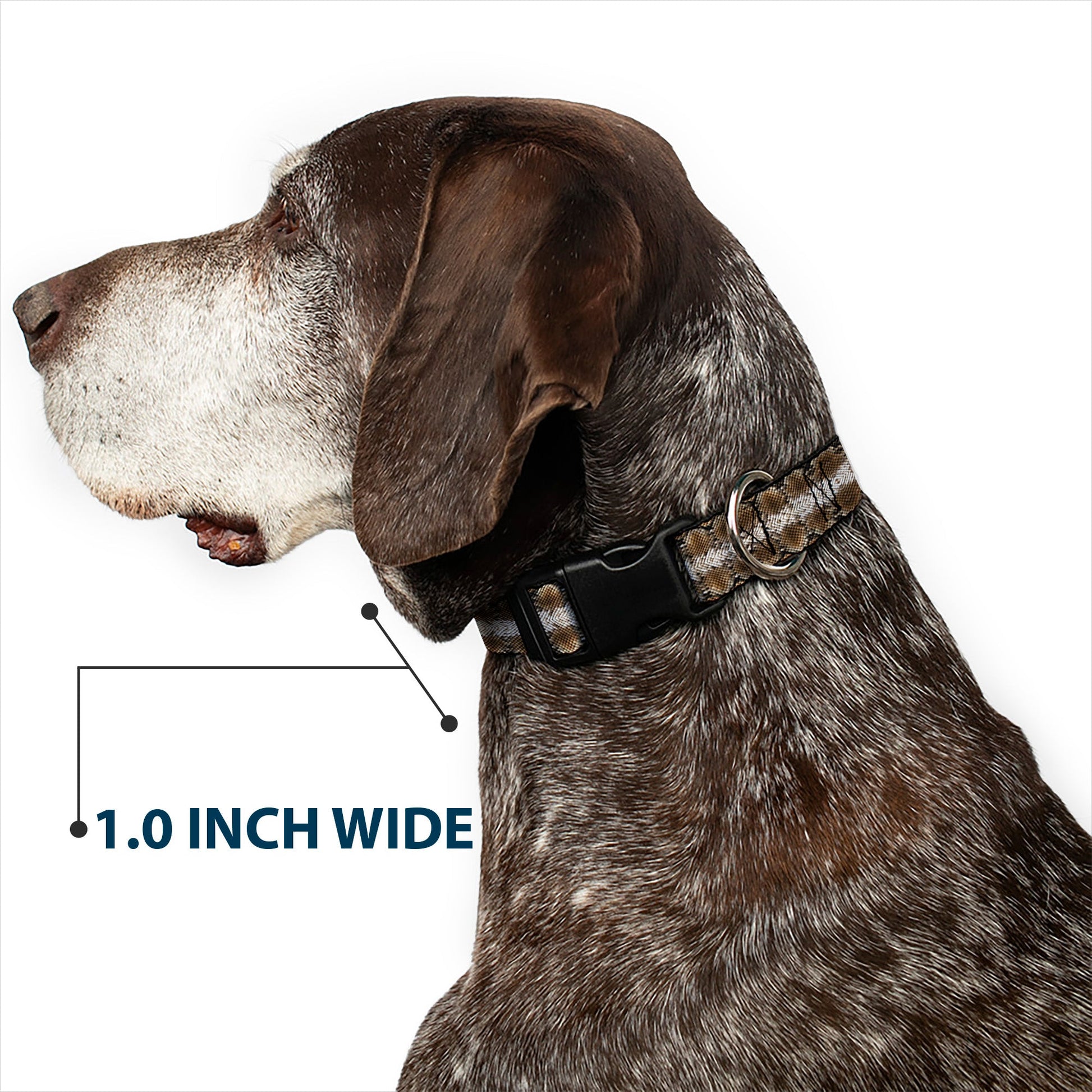 Plastic Clip Collar - Snake Skin 2 - Premium Dog Collars - Buckle - Down