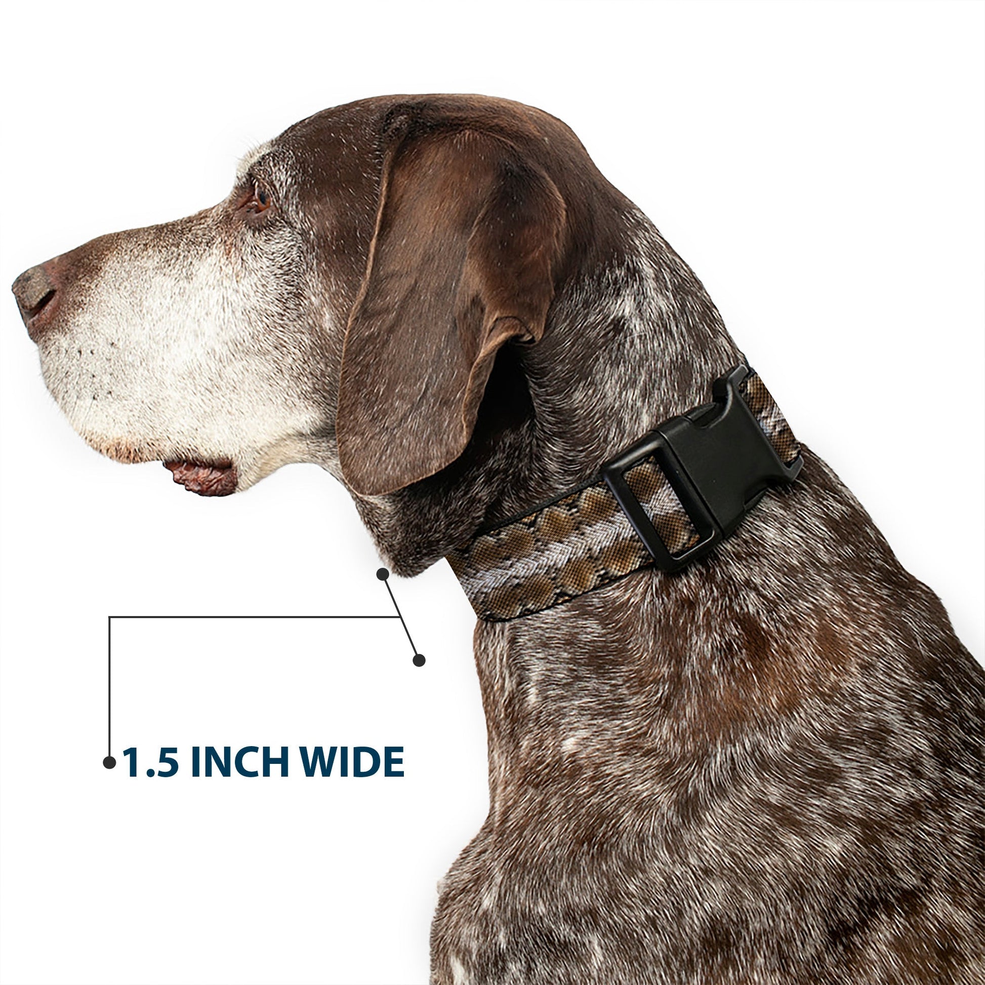 Plastic Clip Collar - Snake Skin 2 - Premium Dog Collars - Buckle - Down