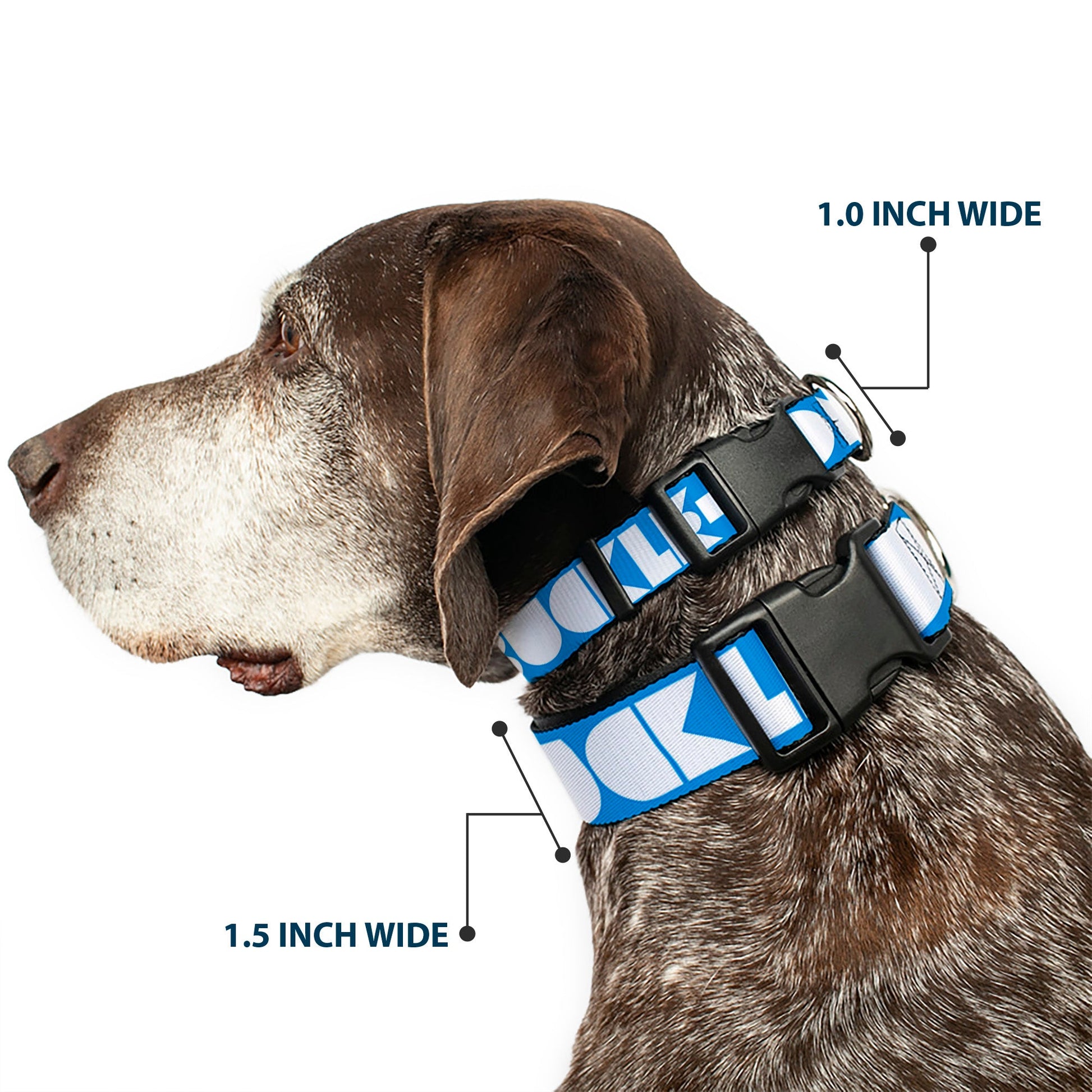 Plastic Clip Collar - BUCKLE - DOWN Shapes Turquoise/White - Premium Dog Collars - Buckle - Down