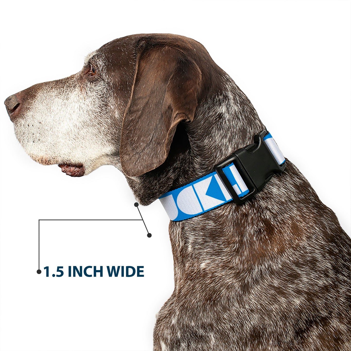 Plastic Clip Collar - BUCKLE - DOWN Shapes Turquoise/White - Premium Dog Collars - Buckle - Down