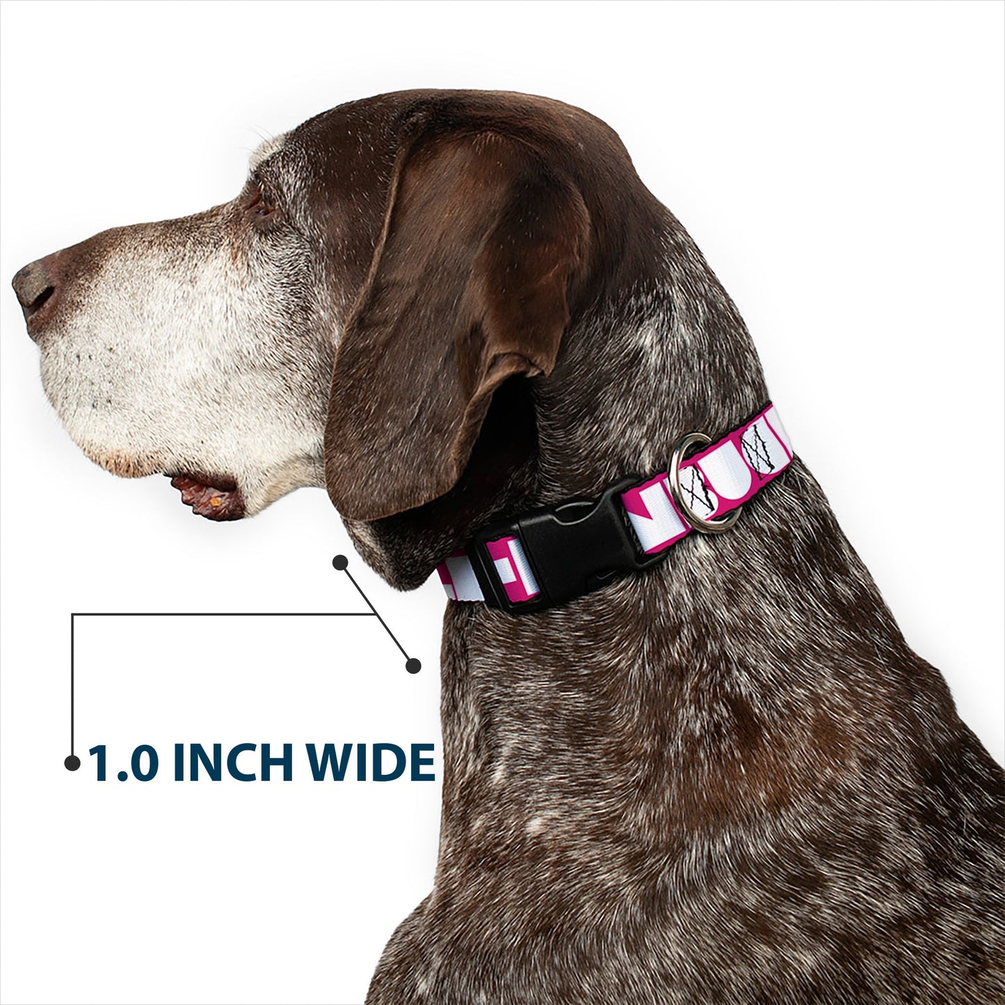 Plastic Clip Collar - BUCKLE - DOWN Shapes Hot Pink/White - Premium Dog Collars - Buckle - Down