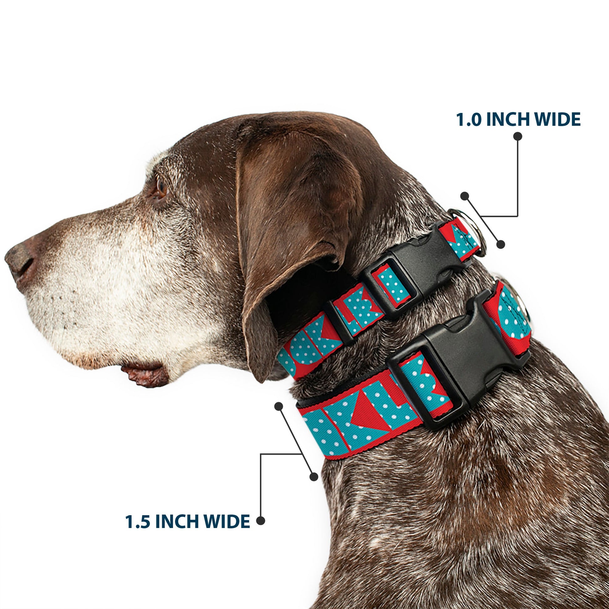 Plastic Clip Collar - BUCKLE - DOWN Shapes Red/Dot Turquoise/White - Premium Dog Collars - Buckle - Down