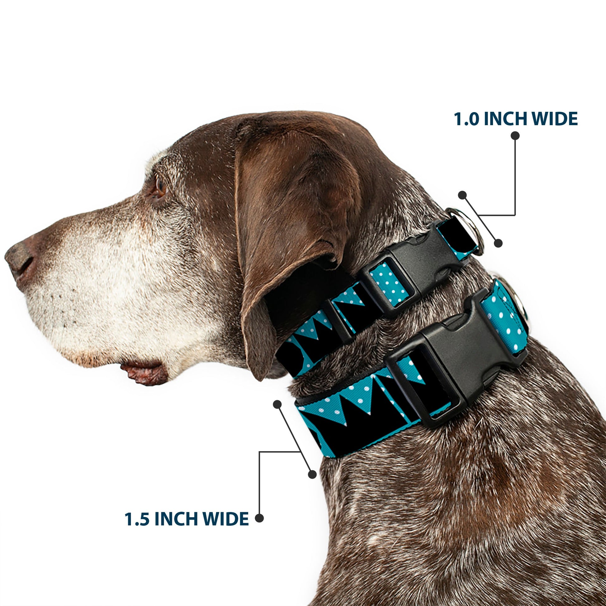 Plastic Clip Collar - BUCKLE - DOWN Shapes Dot Turquoise/White/Black - Premium Dog Collars - Buckle - Down