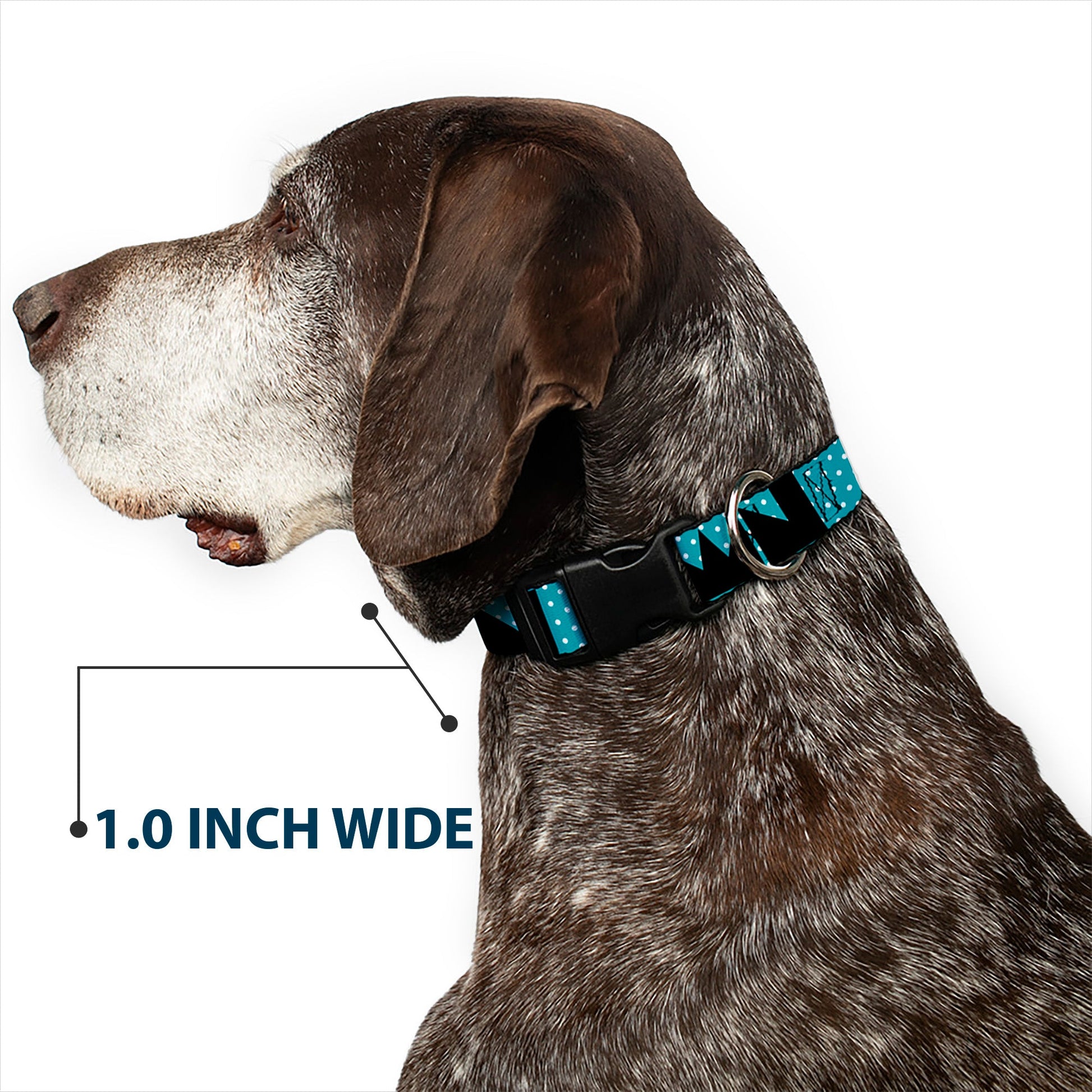 Plastic Clip Collar - BUCKLE - DOWN Shapes Dot Turquoise/White/Black - Premium Dog Collars - Buckle - Down