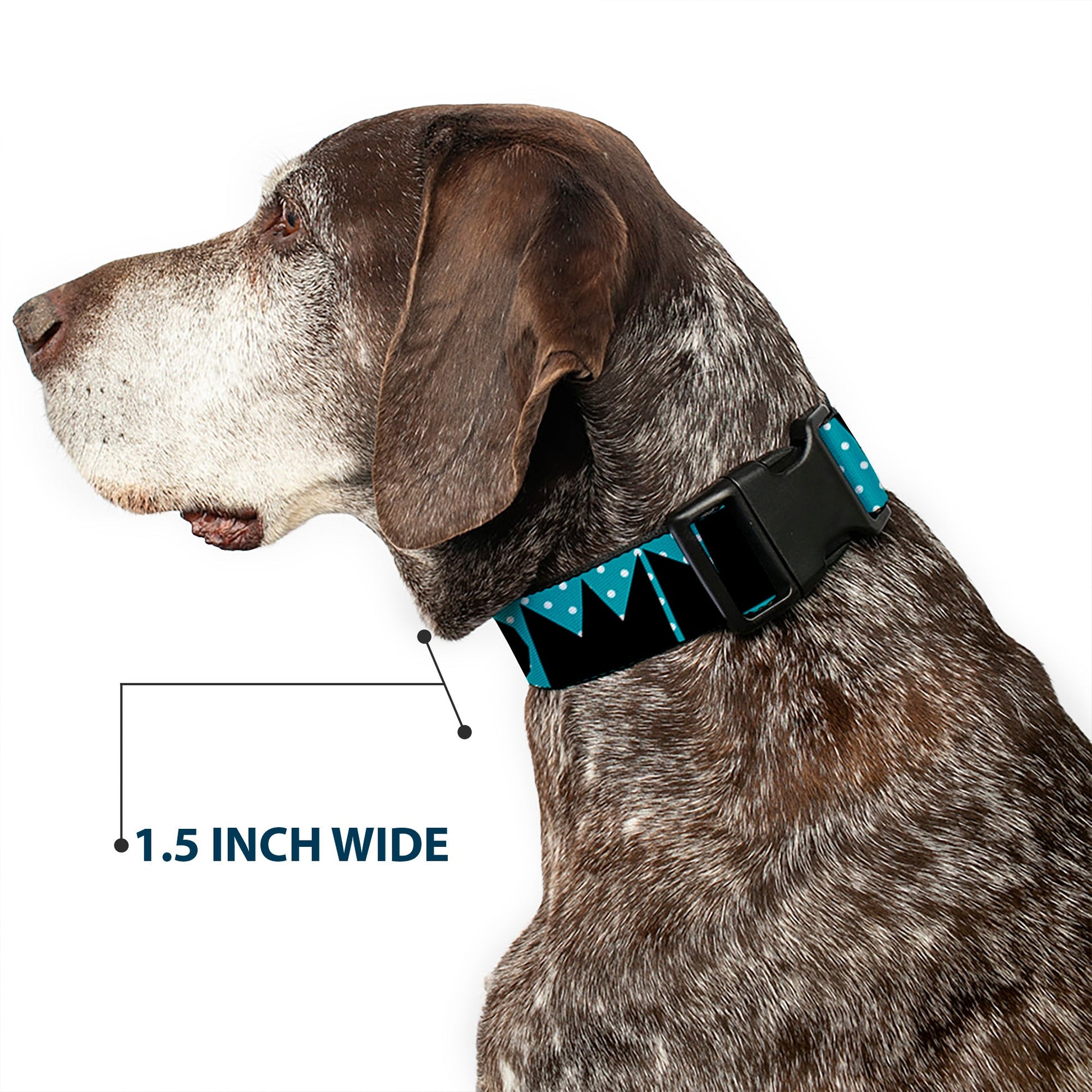 Plastic Clip Collar - BUCKLE - DOWN Shapes Dot Turquoise/White/Black - Premium Dog Collars - Buckle - Down