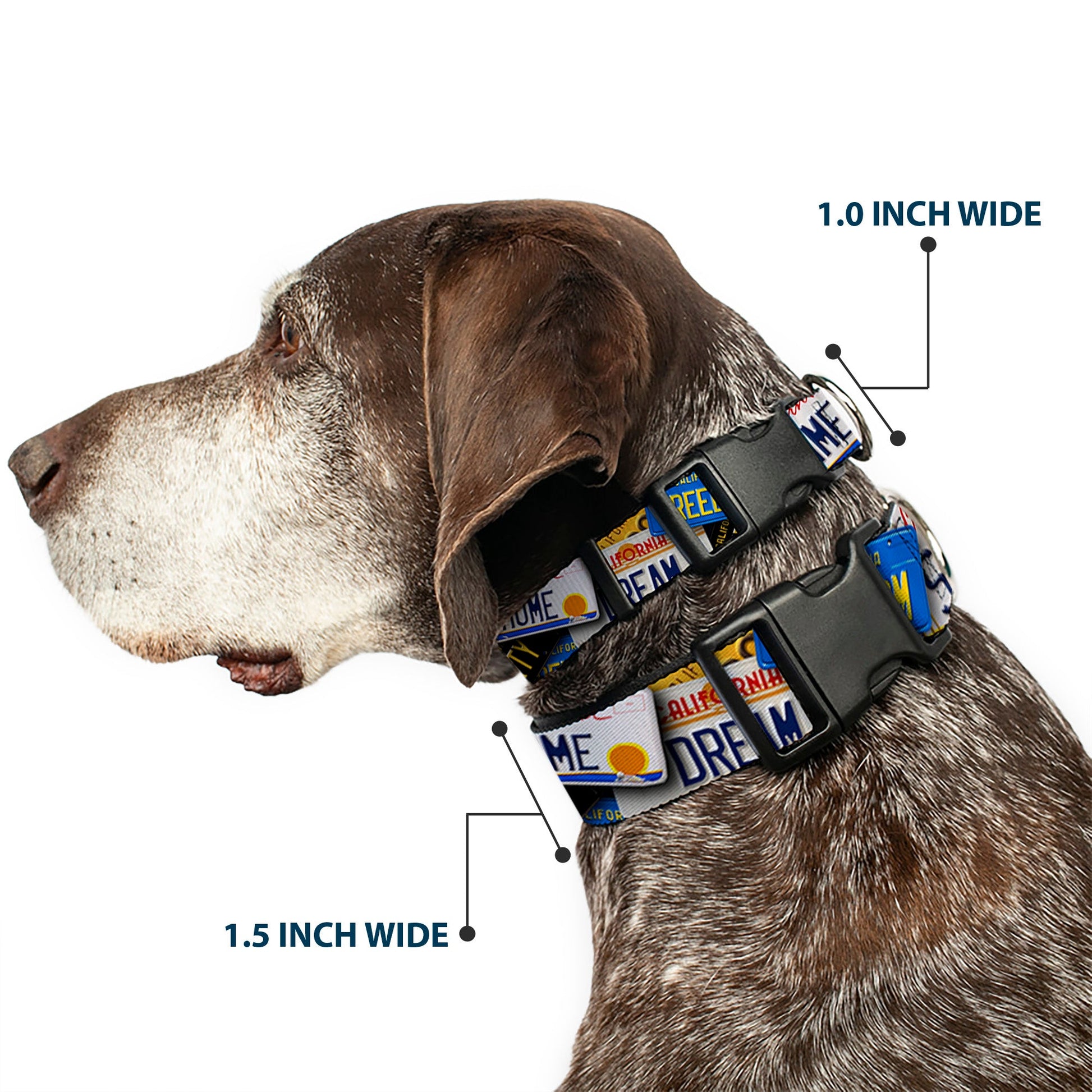 Plastic Clip Collar - Cali License Plates Stacked - Premium Dog Collars - Buckle - Down