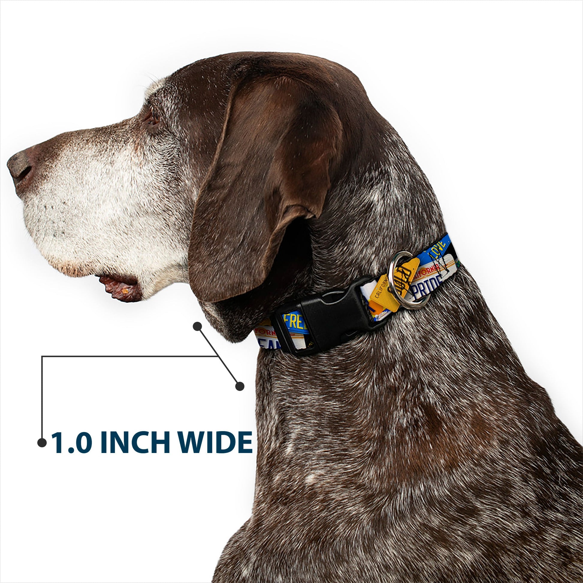 Plastic Clip Collar - Cali License Plates Stacked - Premium Dog Collars - Buckle - Down