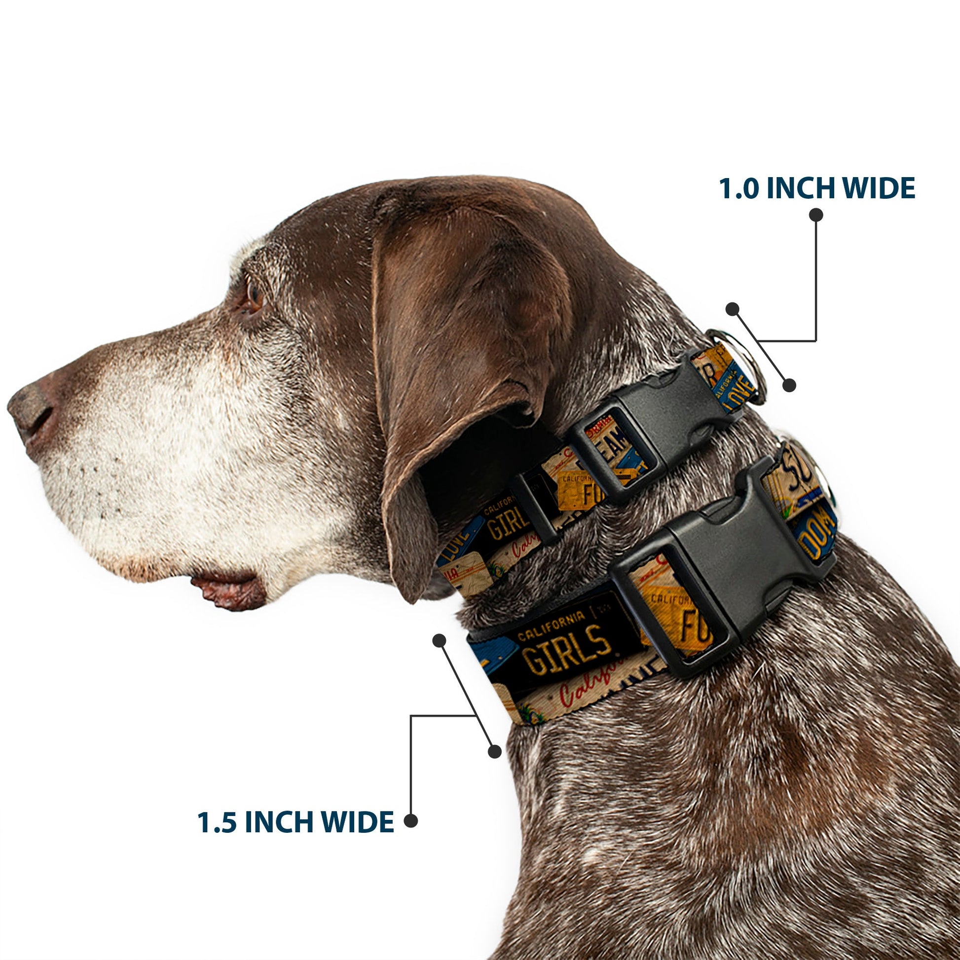 Plastic Clip Collar - Cali License Plates Stacked Vintage - Premium Dog Collars - Buckle - Down