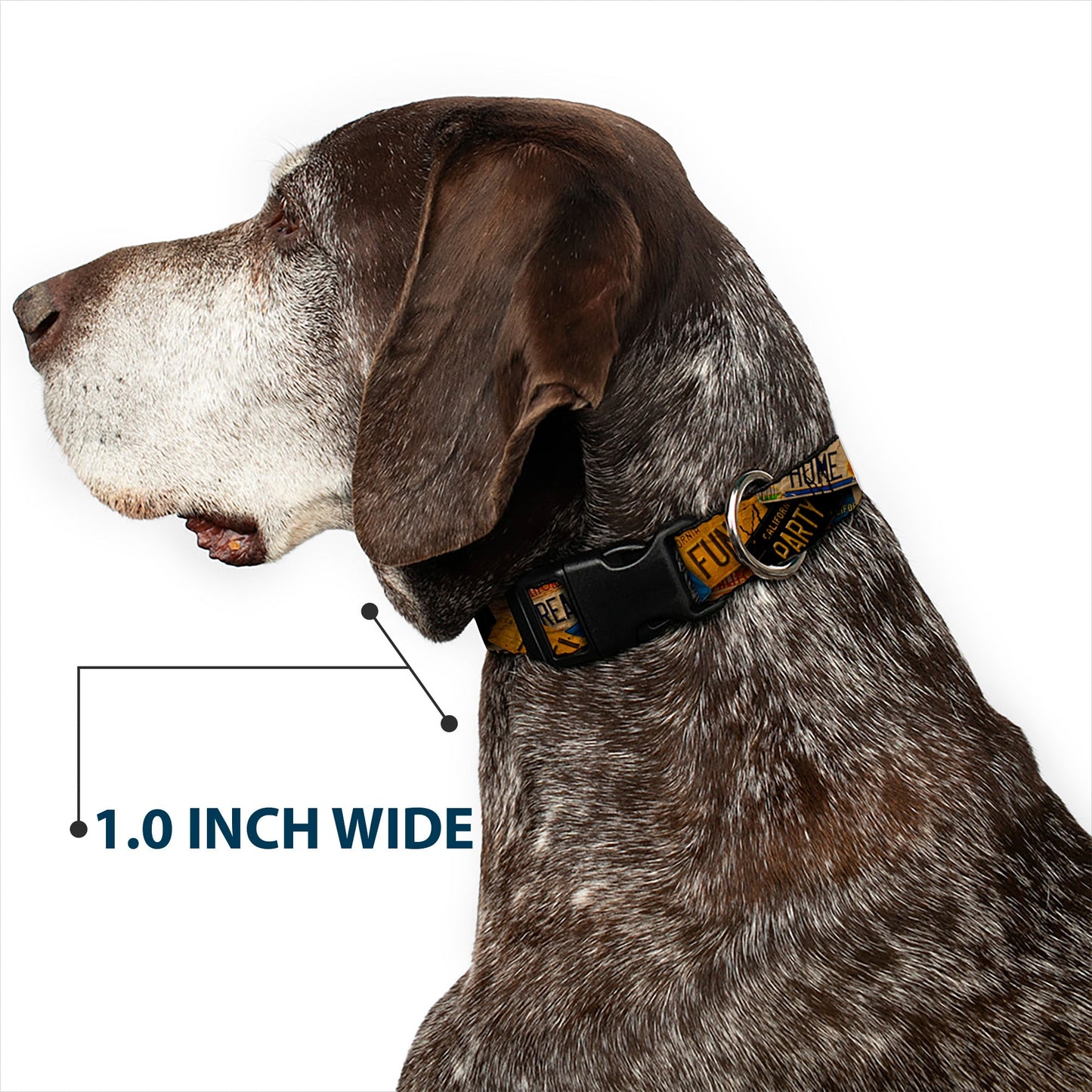 Plastic Clip Collar - Cali License Plates Stacked Vintage - Premium Dog Collars - Buckle - Down