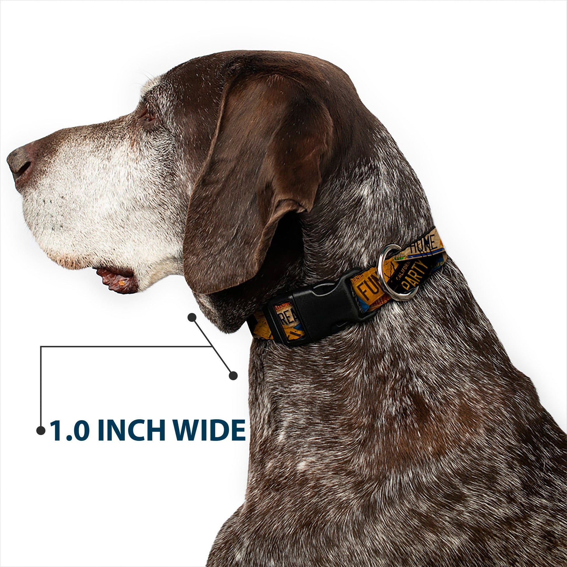 Plastic Clip Collar - Cali License Plates Stacked Vintage - Premium Dog Collars - Buckle - Down