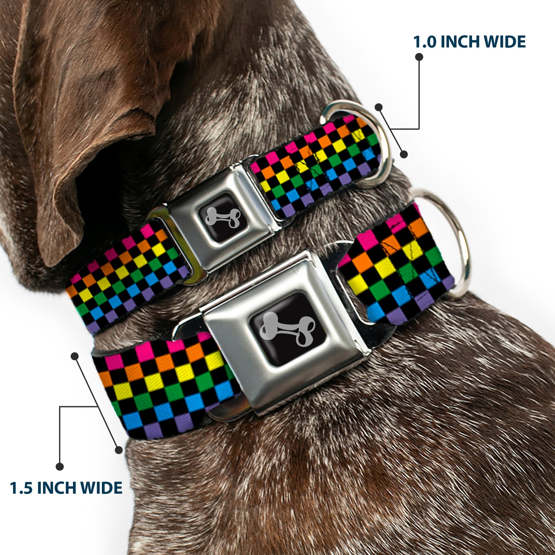 Dog Bone Seatbelt Buckle Collar - Checker Black/Neon Rainbow - Seatbelt Buckle Collars - Buckle - Down