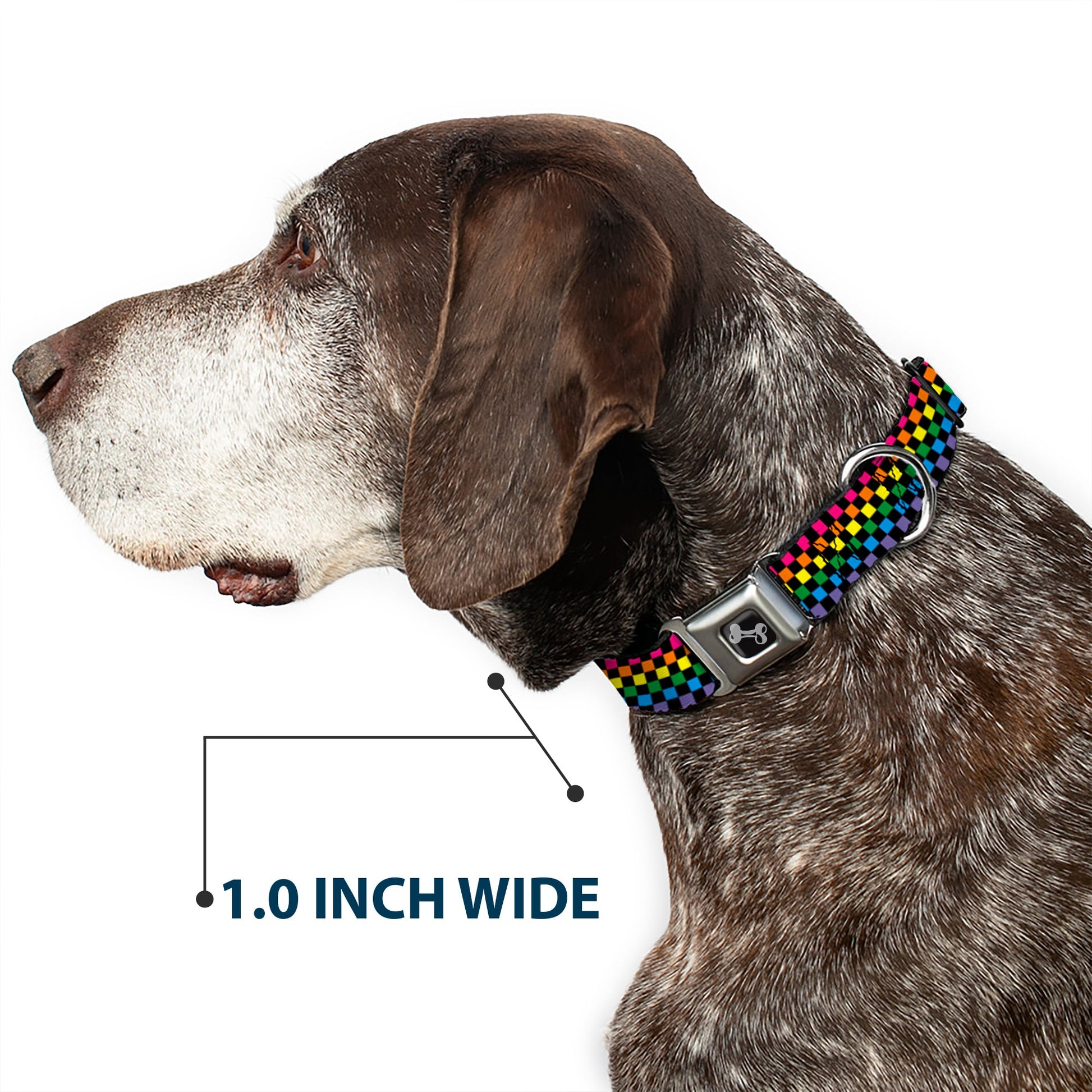 Dog Bone Seatbelt Buckle Collar - Checker Black/Neon Rainbow - Seatbelt Buckle Collars - Buckle - Down
