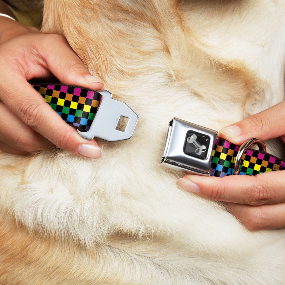 Dog Bone Seatbelt Buckle Collar - Checker Black/Neon Rainbow - Seatbelt Buckle Collars - Buckle - Down