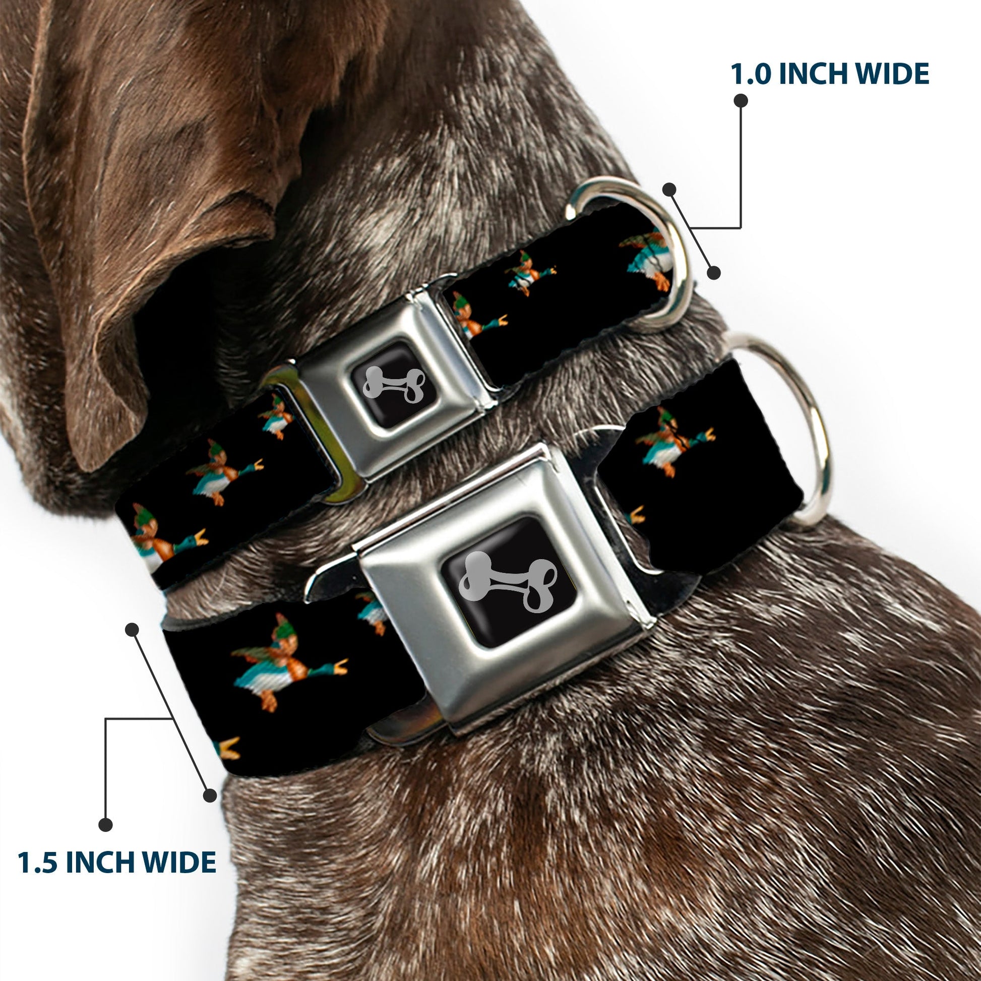 Dog Bone Seatbelt Buckle Collar - Flying Mallards Black - Seatbelt Buckle Collars - Buckle - Down