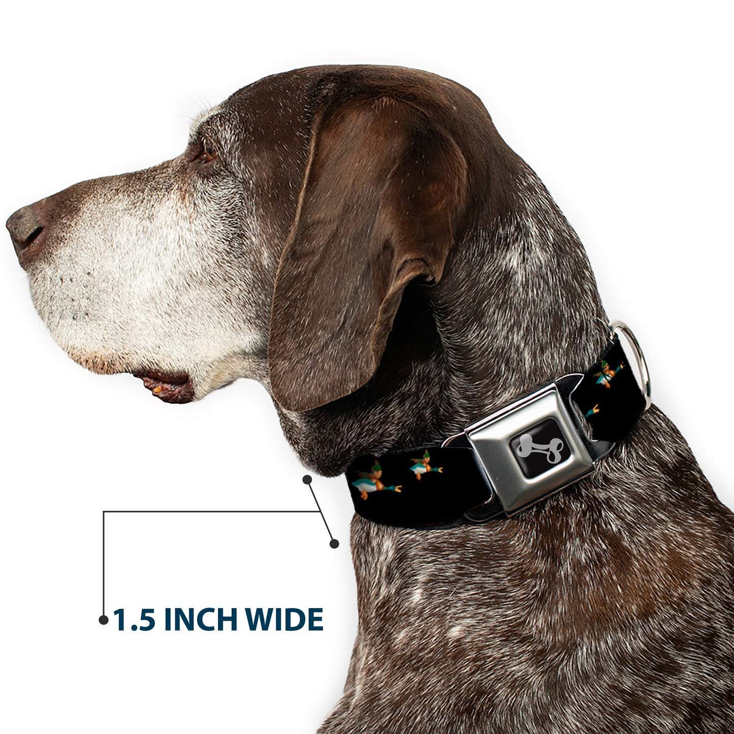 Dog Bone Seatbelt Buckle Collar - Flying Mallards Black - Seatbelt Buckle Collars - Buckle - Down