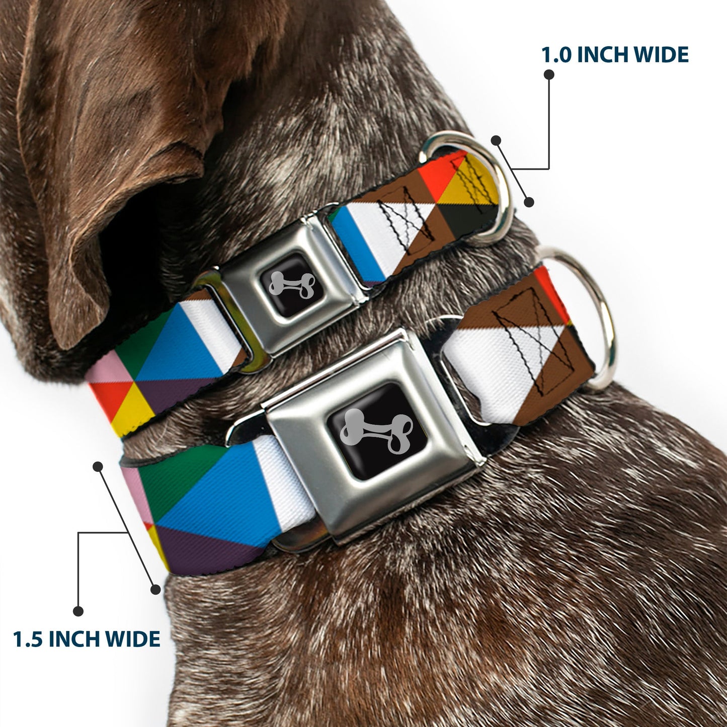 Dog Bone Seatbelt Buckle Collar - Geometric Triangle Blocks Multi Color - Seatbelt Buckle Collars - Buckle - Down
