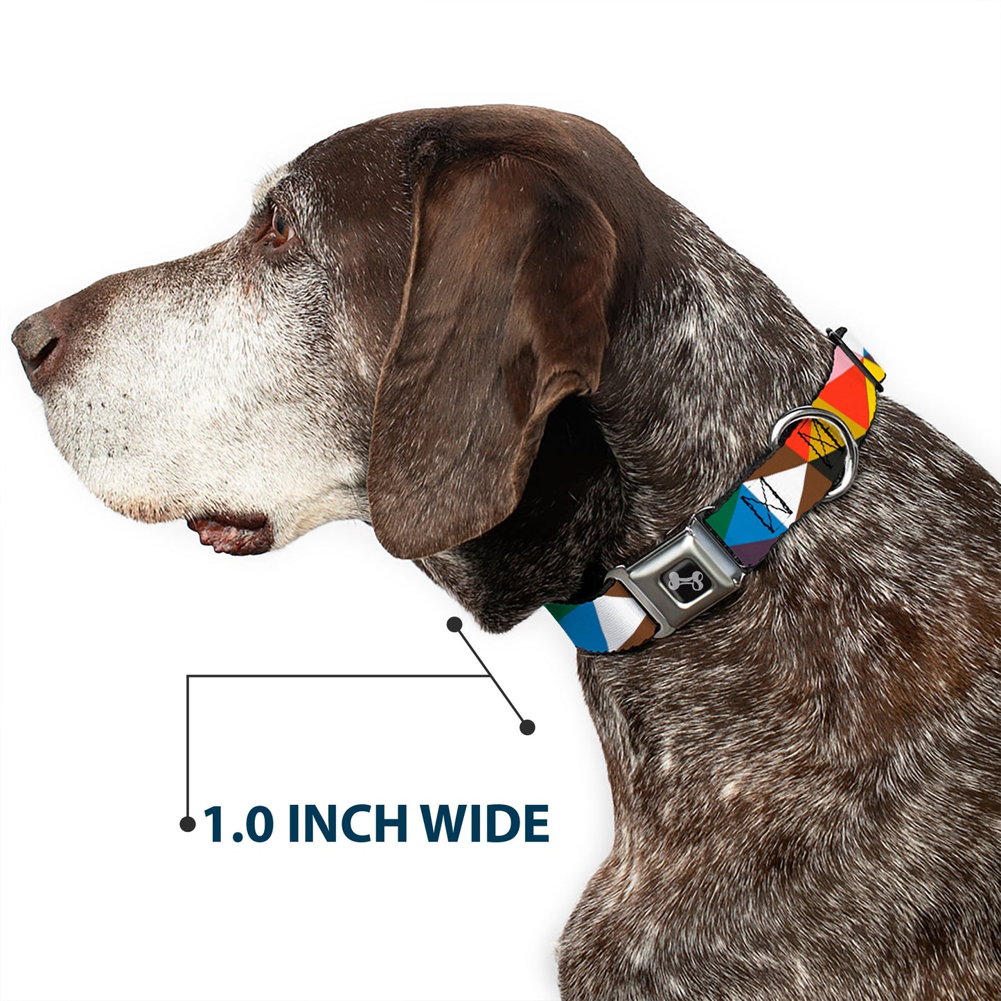 Dog Bone Seatbelt Buckle Collar - Geometric Triangle Blocks Multi Color - Seatbelt Buckle Collars - Buckle - Down