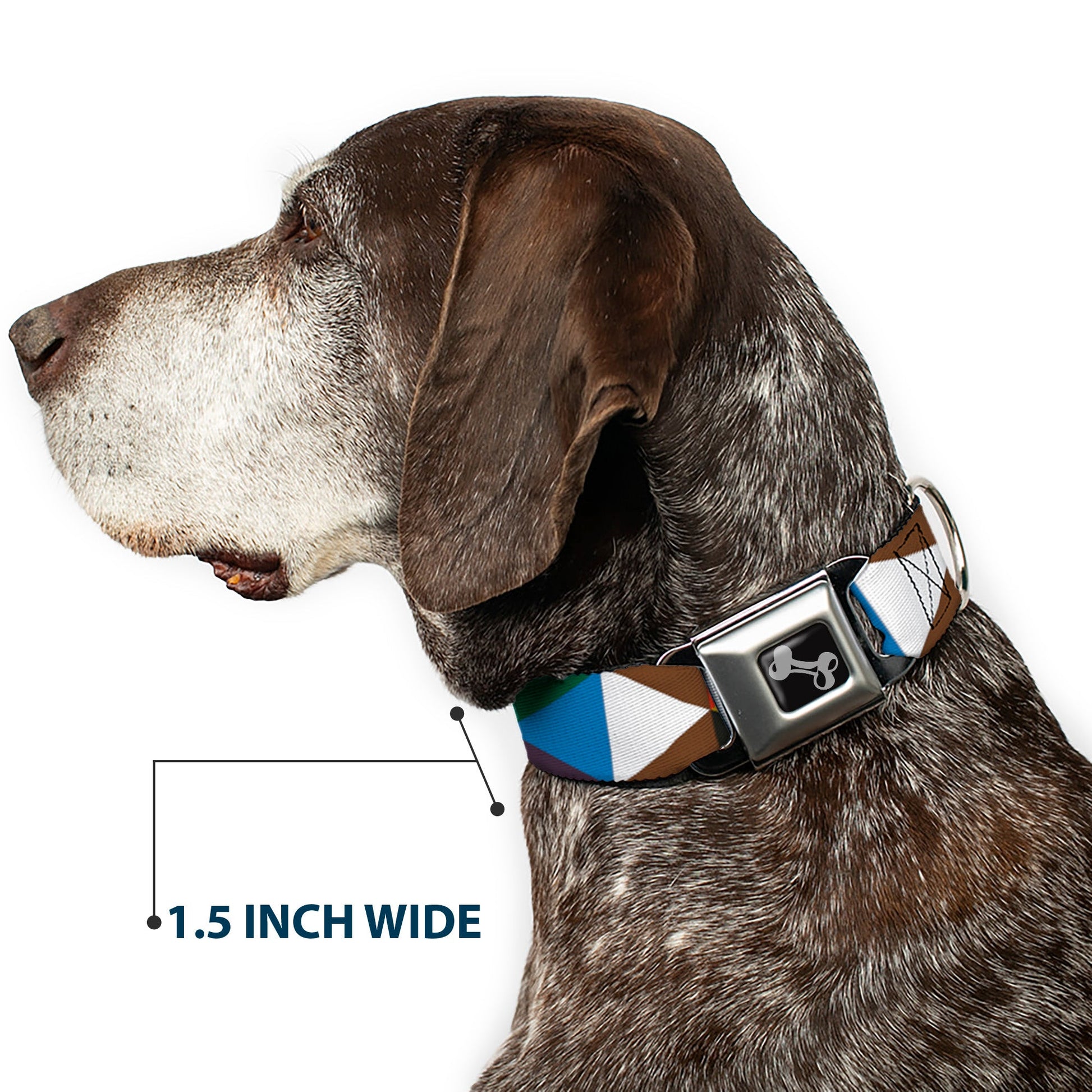 Dog Bone Seatbelt Buckle Collar - Geometric Triangle Blocks Multi Color - Seatbelt Buckle Collars - Buckle - Down