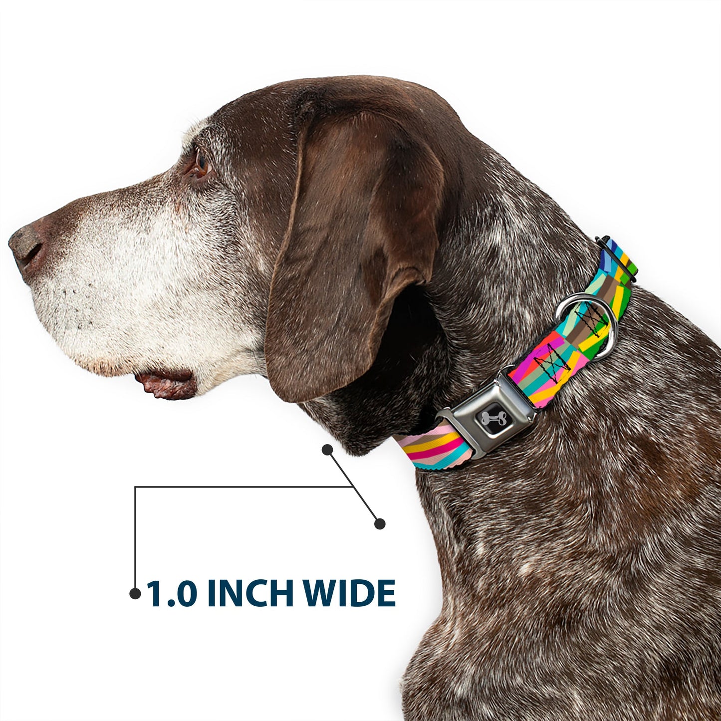 Dog Bone Seatbelt Buckle Collar - Geometric10 Multi Color - Seatbelt Buckle Collars - Buckle - Down