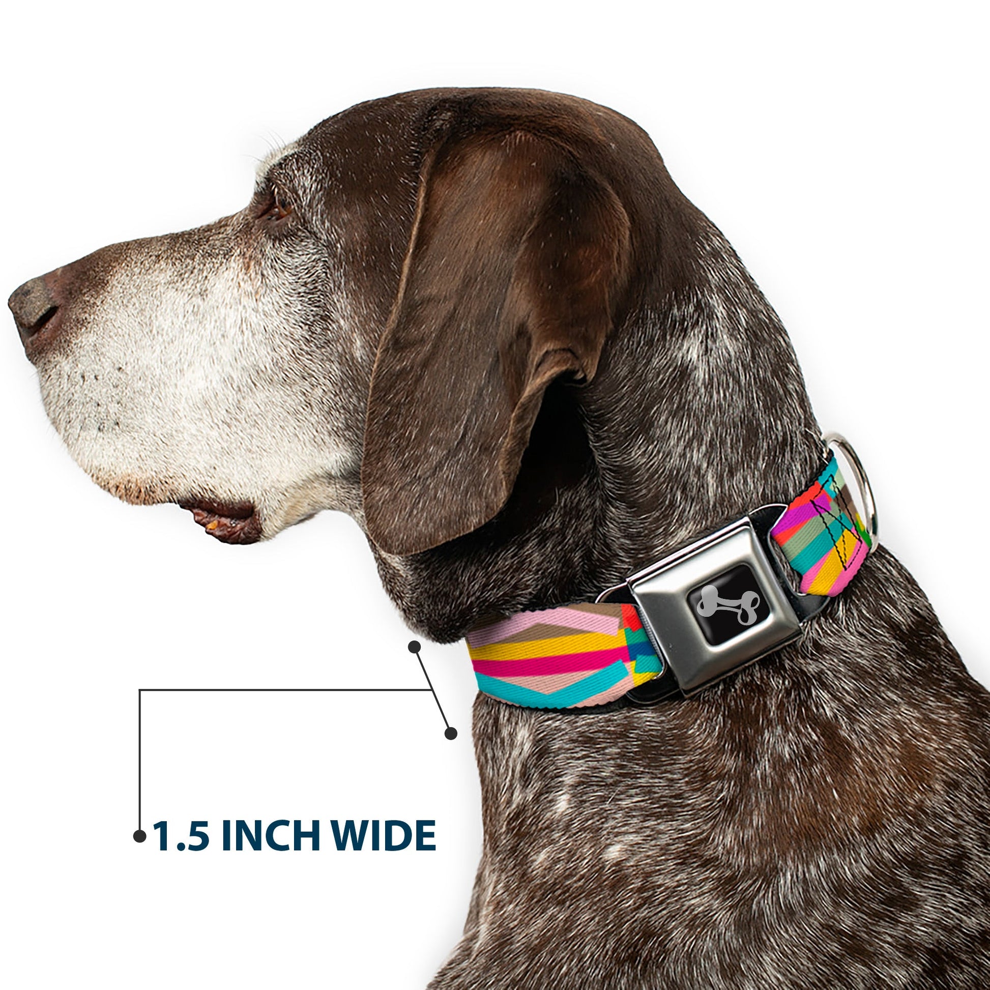 Dog Bone Seatbelt Buckle Collar - Geometric10 Multi Color - Seatbelt Buckle Collars - Buckle - Down