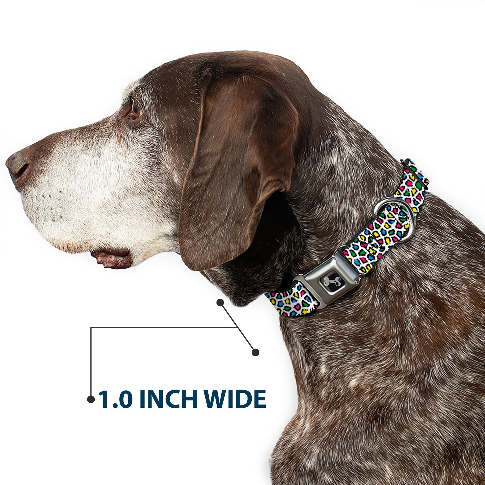 Dog Bone Seatbelt Buckle Collar - Leopard White/Multi Color - Seatbelt Buckle Collars - Buckle - Down