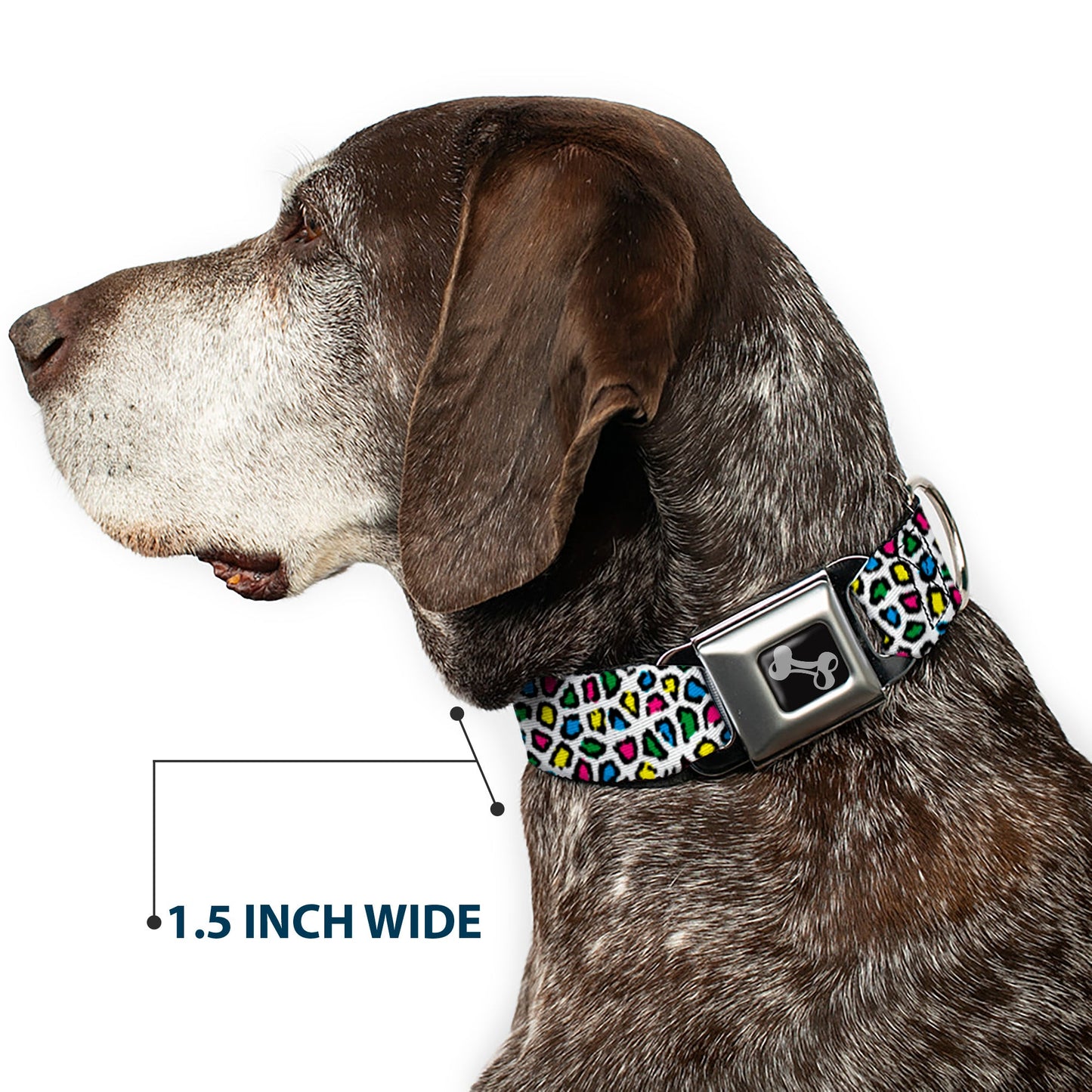 Dog Bone Seatbelt Buckle Collar - Leopard White/Multi Color - Seatbelt Buckle Collars - Buckle - Down