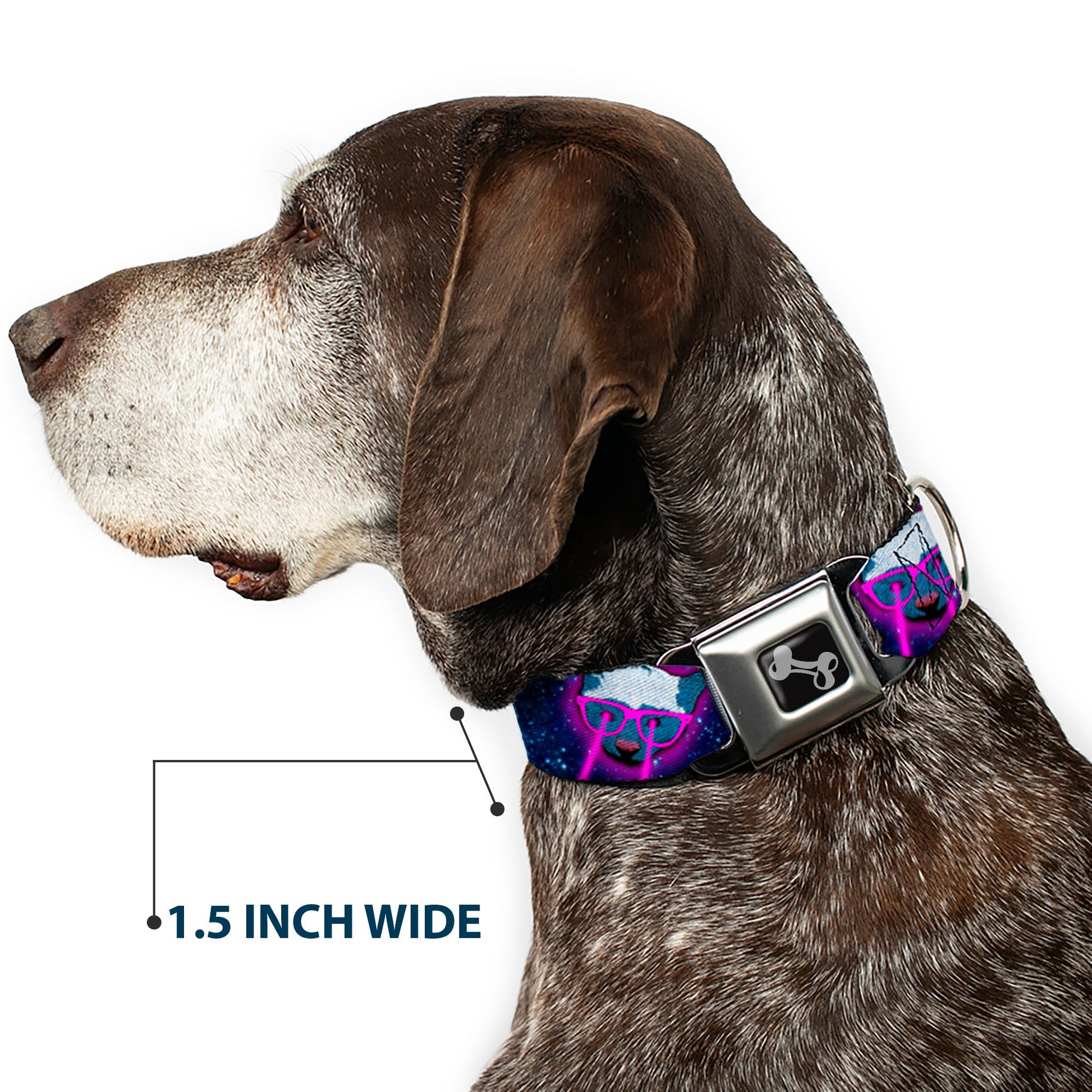 Dog Bone Seatbelt Buckle Collar - Laser Eye Cats in Space - Seatbelt Buckle Collars - Buckle - Down