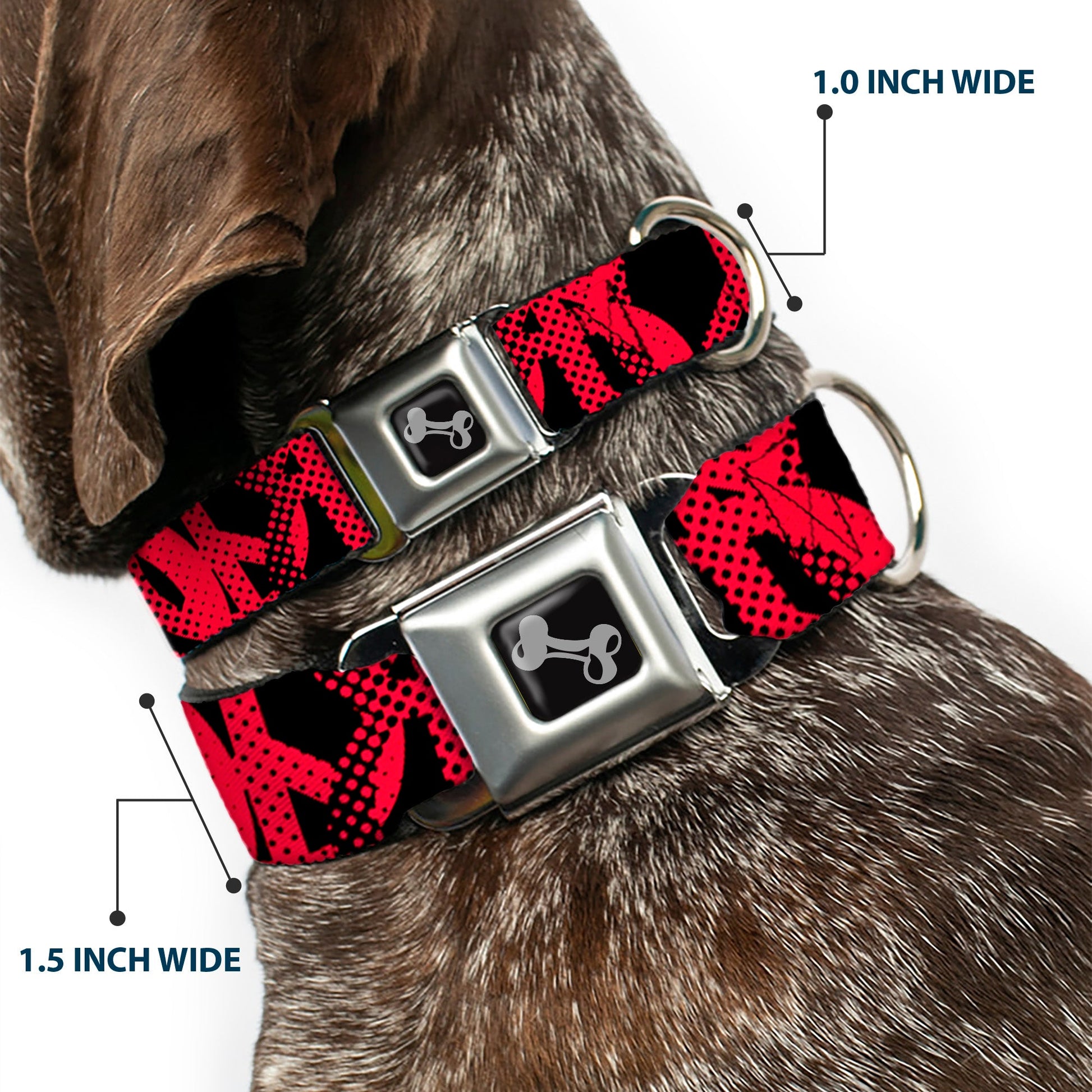 Dog Bone Seatbelt Buckle Collar - Peace Dots Black/Fuchsia - Seatbelt Buckle Collars - Buckle - Down
