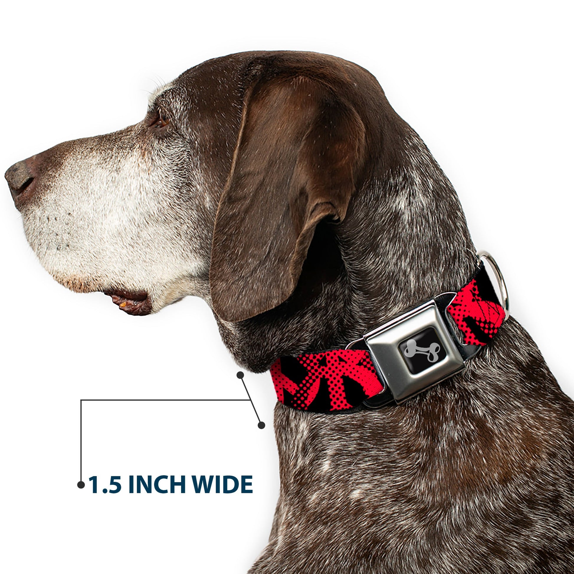 Dog Bone Seatbelt Buckle Collar - Peace Dots Black/Fuchsia - Seatbelt Buckle Collars - Buckle - Down