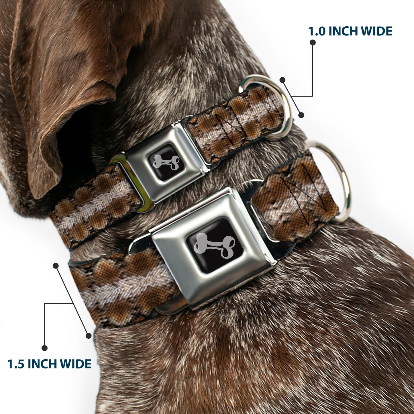 Dog Bone Seatbelt Buckle Collar - Snake Skin 2 - Seatbelt Buckle Collars - Buckle - Down