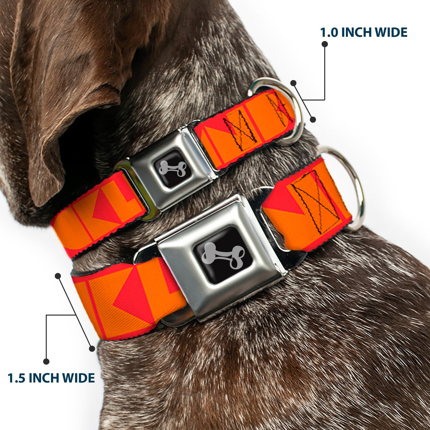 Dog Bone Seatbelt Buckle Collar - BUCKLE - DOWN Shapes Red/Orange - Seatbelt Buckle Collars - Buckle - Down