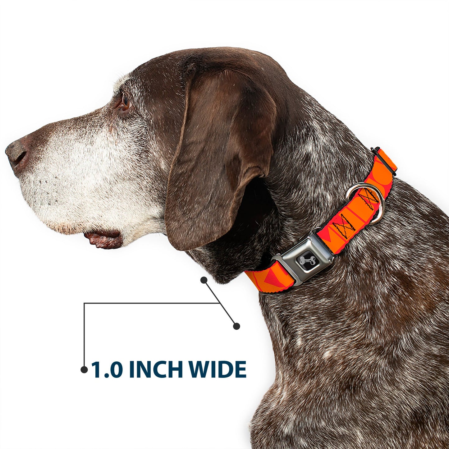 Dog Bone Seatbelt Buckle Collar - BUCKLE - DOWN Shapes Red/Orange - Seatbelt Buckle Collars - Buckle - Down