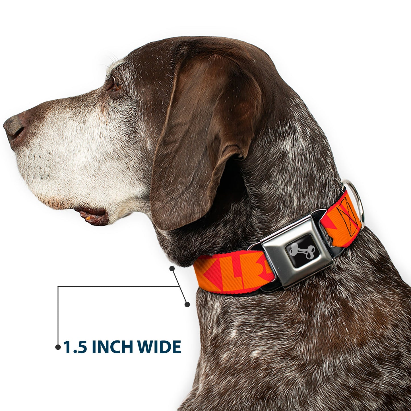 Dog Bone Seatbelt Buckle Collar - BUCKLE - DOWN Shapes Red/Orange - Seatbelt Buckle Collars - Buckle - Down