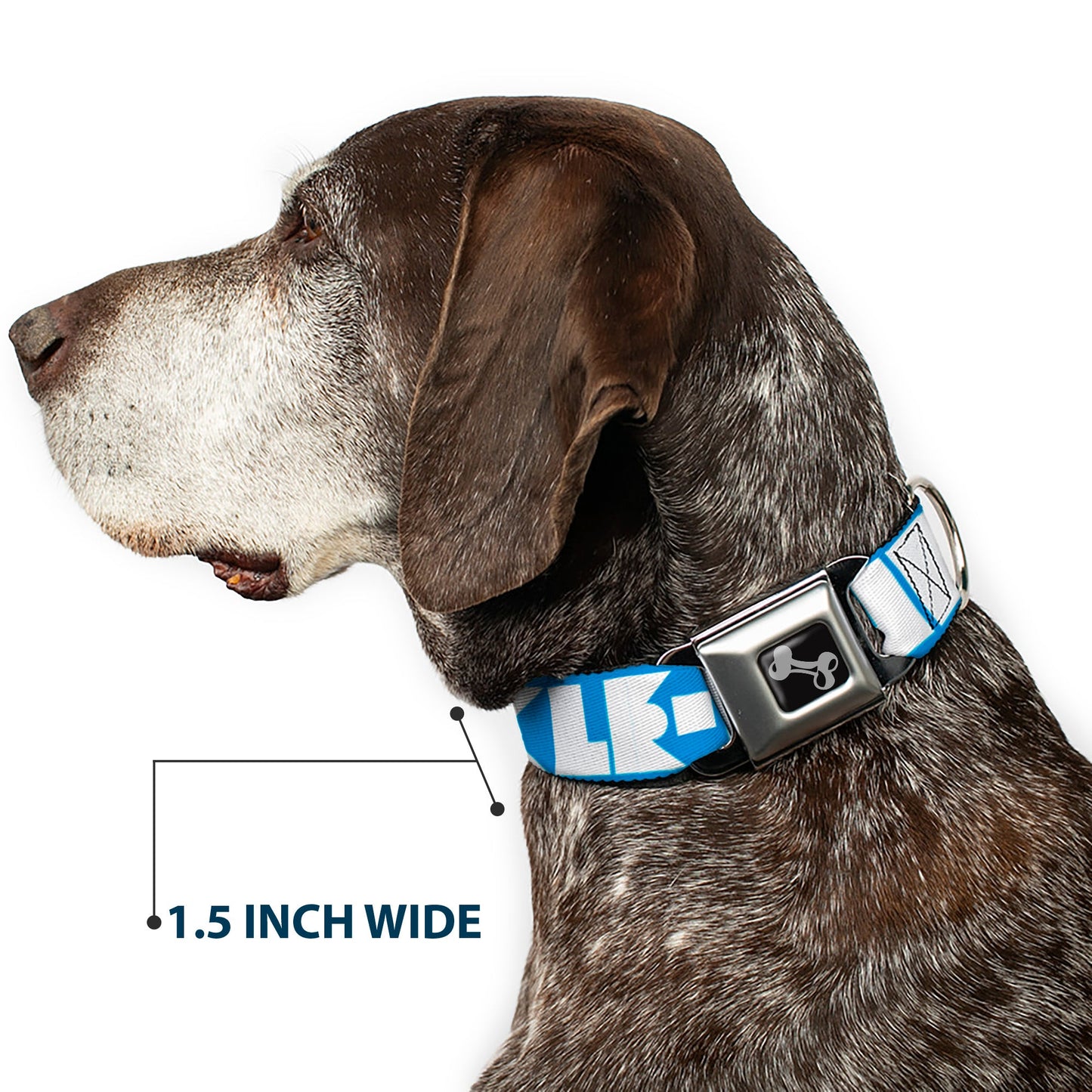 Dog Bone Seatbelt Buckle Collar - BUCKLE - DOWN Shapes Turquoise/White - Seatbelt Buckle Collars - Buckle - Down