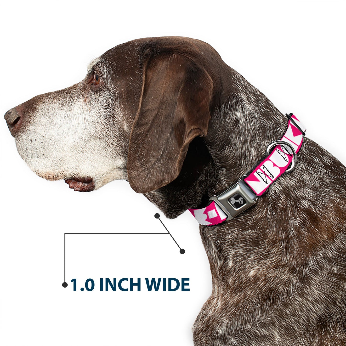 Dog Bone Seatbelt Buckle Collar - BUCKLE - DOWN Shapes Hot Pink/White - Seatbelt Buckle Collars - Buckle - Down