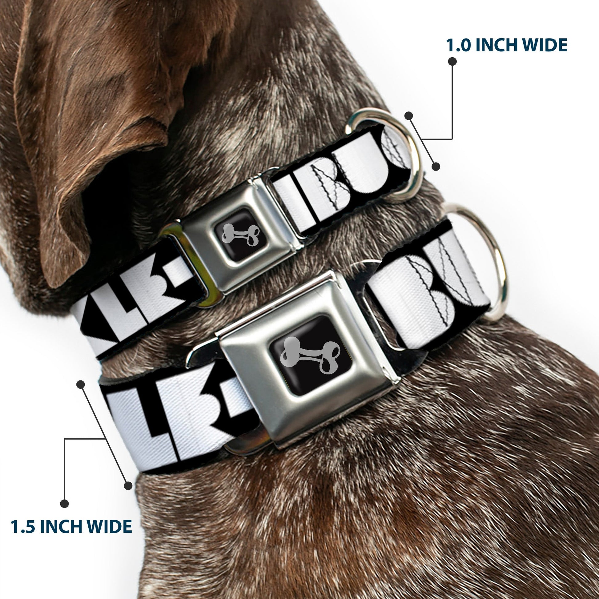 Dog Bone Seatbelt Buckle Collar - BUCKLE - DOWN Shapes Black/White - Premium Dog Collars - Buckle - Down