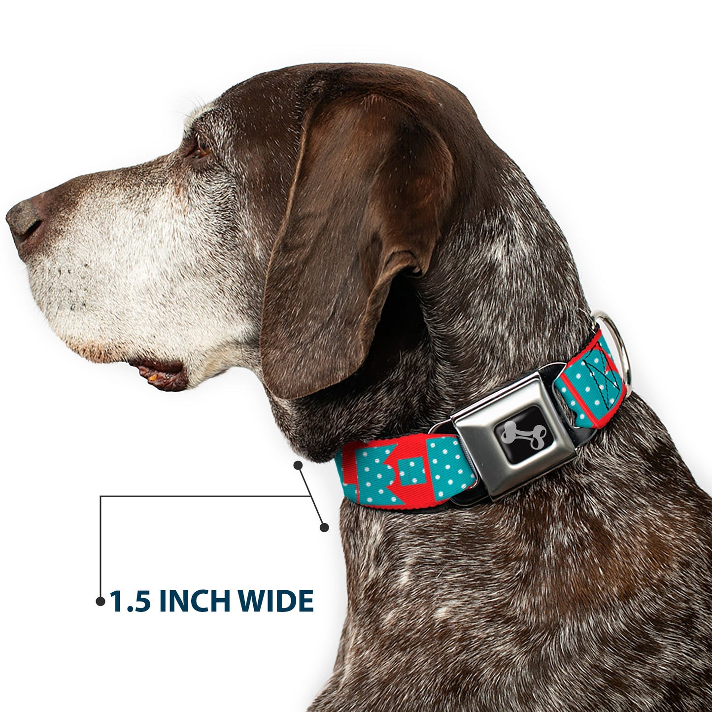 Dog Bone Seatbelt Buckle Collar - BUCKLE - DOWN Shapes Red/Dot Turquoise/White - Seatbelt Buckle Collars - Buckle - Down