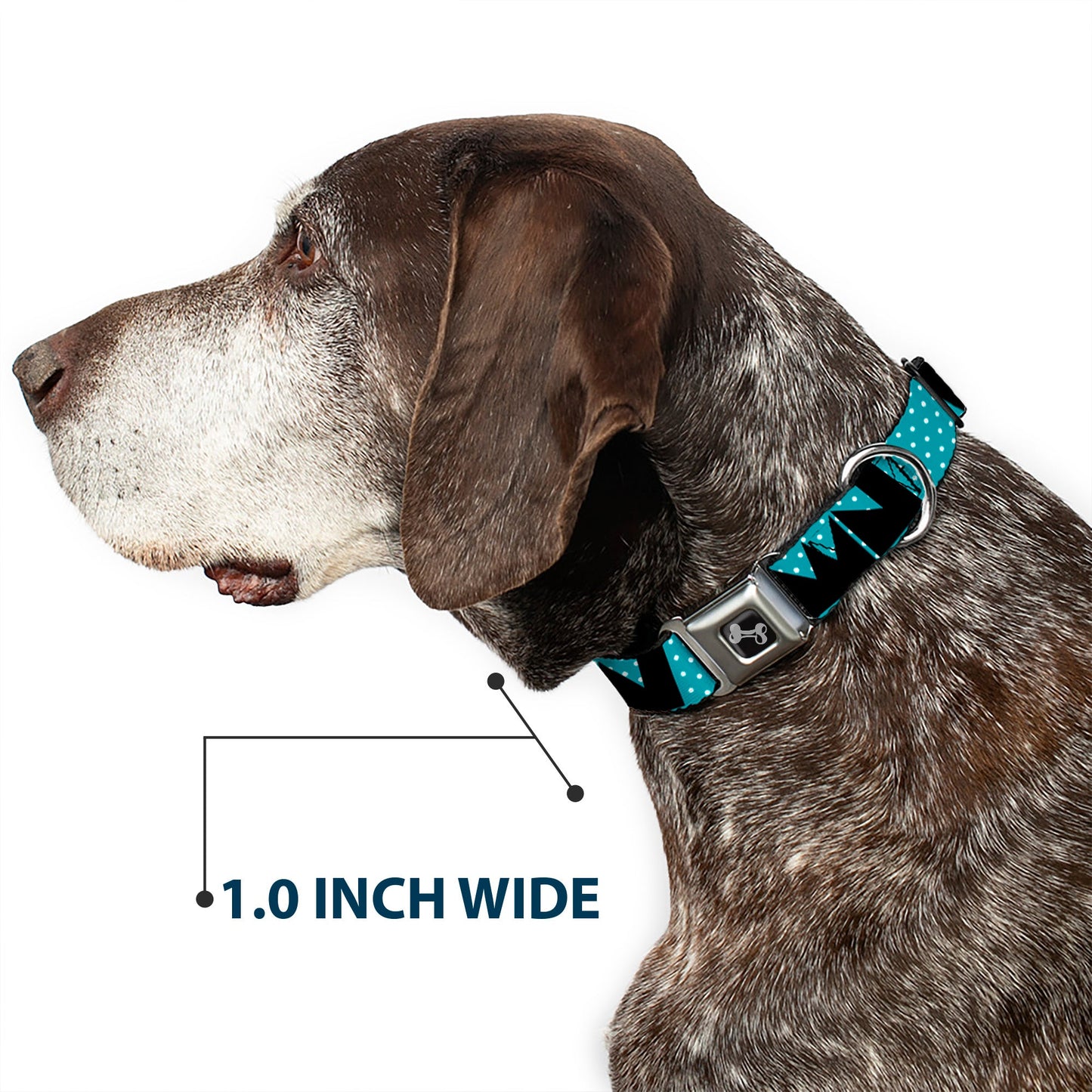 Dog Bone Seatbelt Buckle Collar - BUCKLE - DOWN Shapes Dot Turquoise/White/Black - Seatbelt Buckle Collars - Buckle - Down