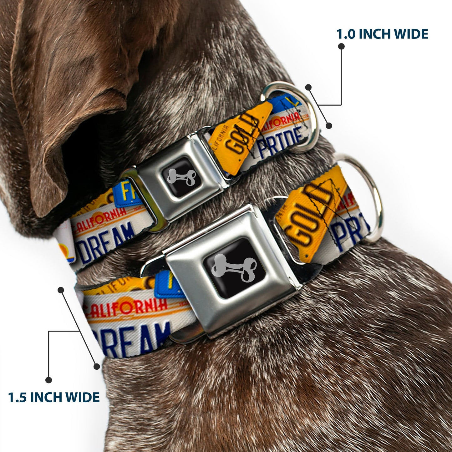 Dog Bone Seatbelt Buckle Collar - Cali License Plates Stacked - Seatbelt Buckle Collars - Buckle - Down