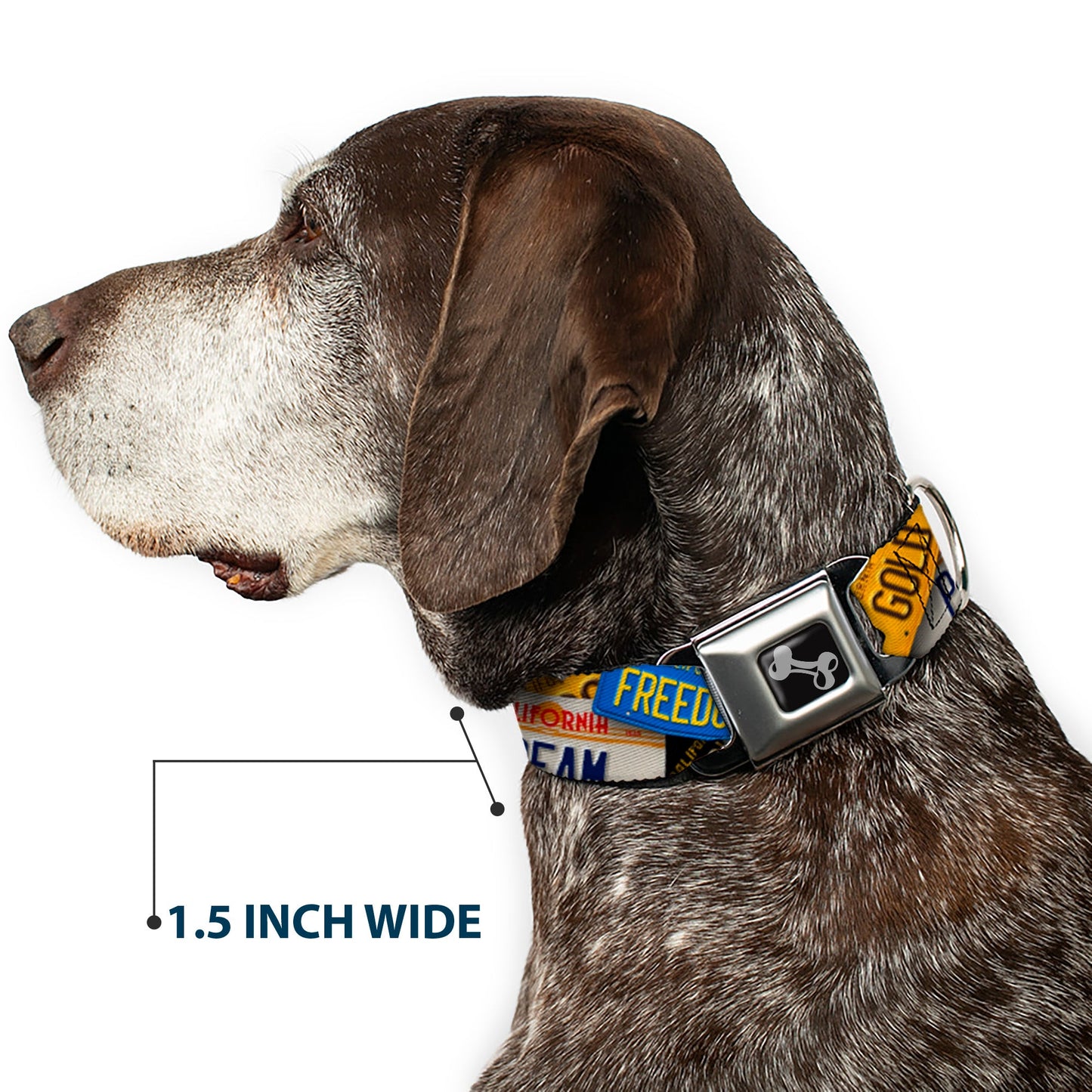 Dog Bone Seatbelt Buckle Collar - Cali License Plates Stacked - Seatbelt Buckle Collars - Buckle - Down