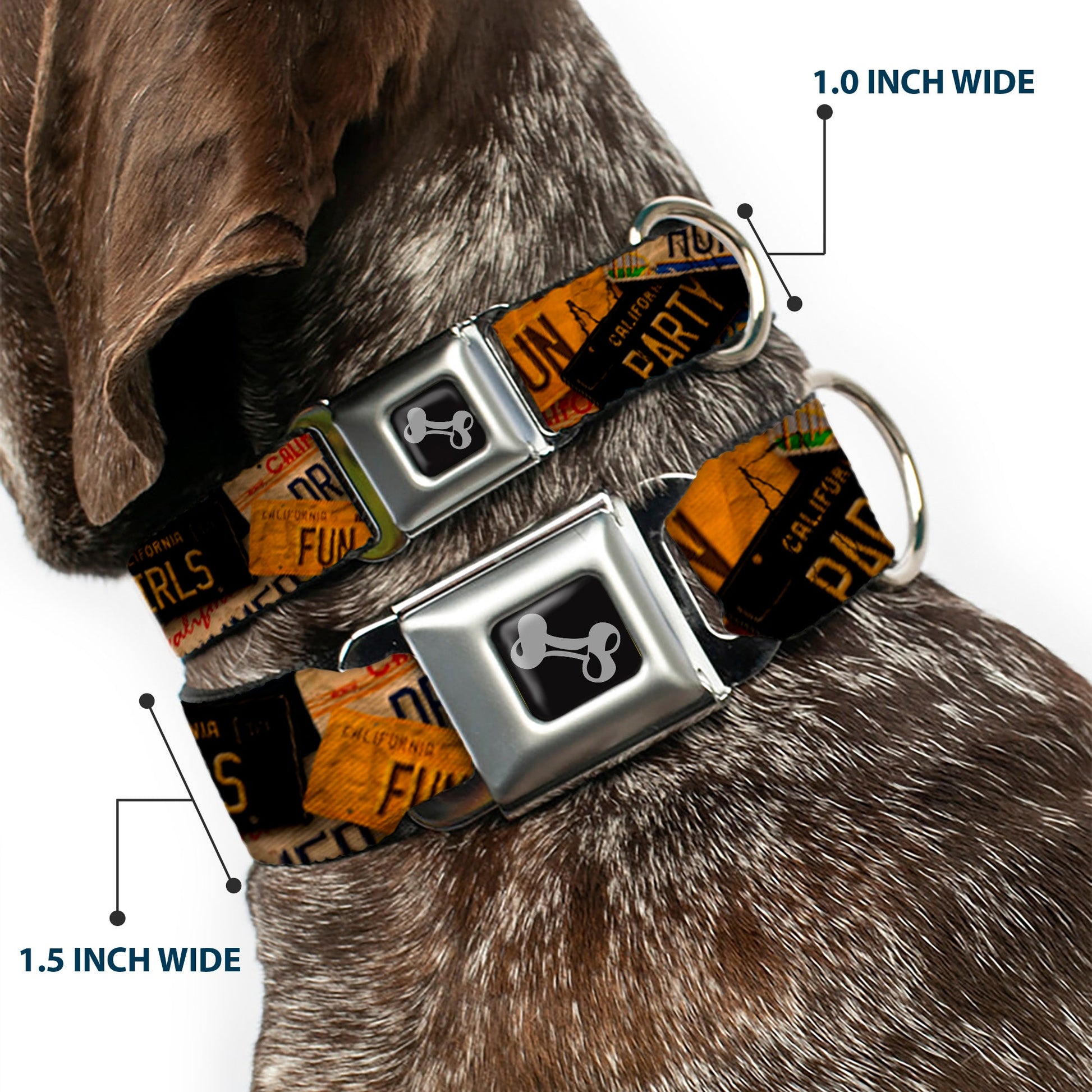 Dog Bone Seatbelt Buckle Collar - Cali License Plates Stacked Vintage - Seatbelt Buckle Collars - Buckle - Down