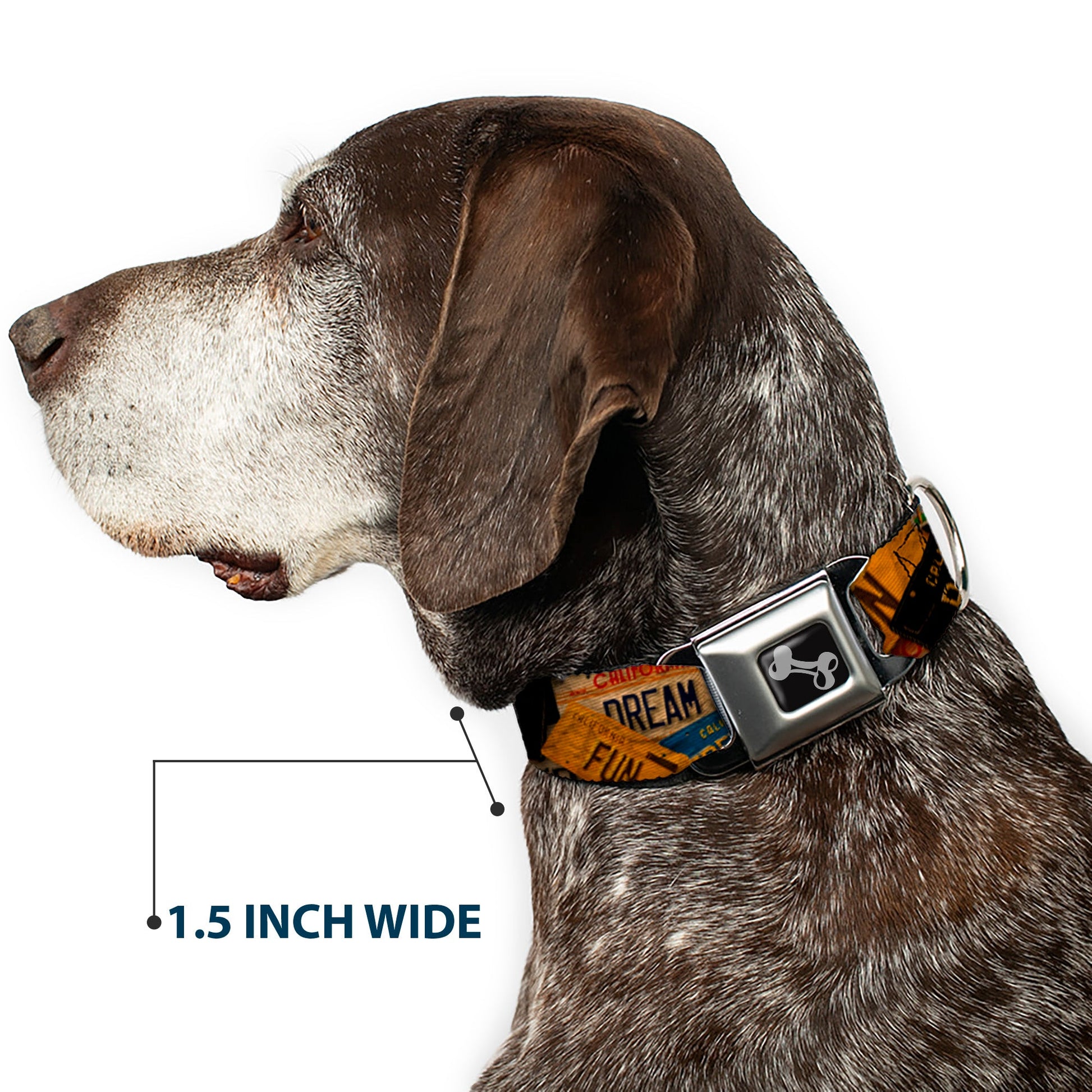 Dog Bone Seatbelt Buckle Collar - Cali License Plates Stacked Vintage - Seatbelt Buckle Collars - Buckle - Down