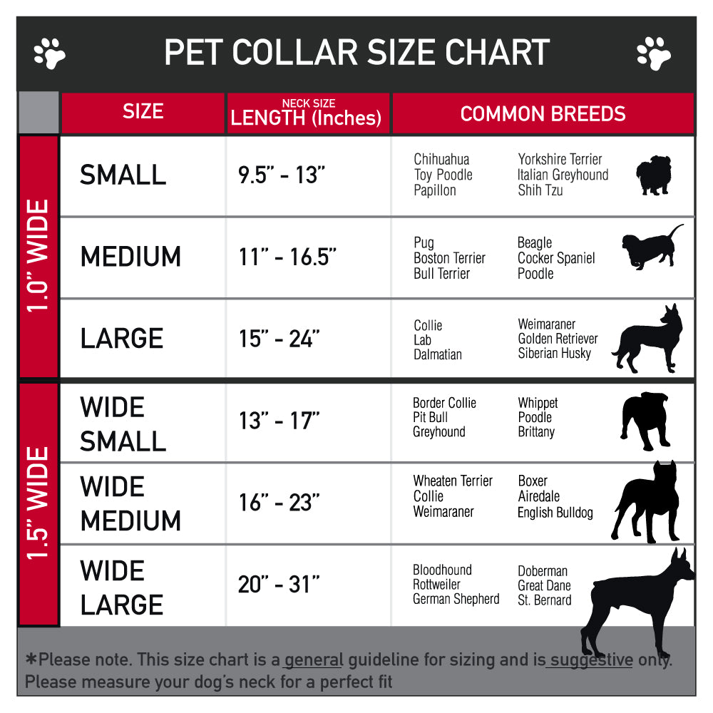 Dog Bone Seatbelt Buckle Collar - BUCKLE - DOWN Shapes Black/White - Premium Dog Collars - Buckle - Down