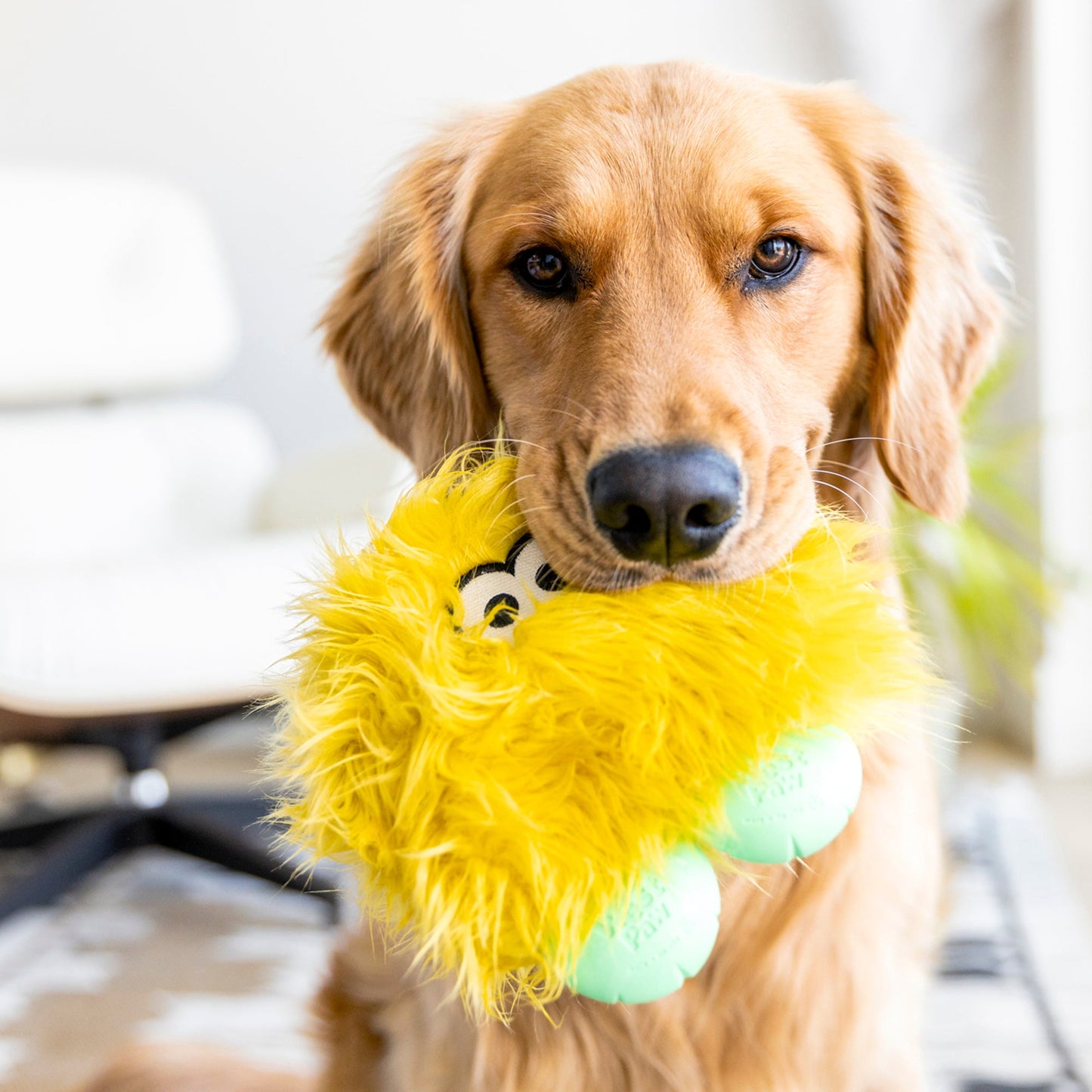 Rolf toy | Purrfect Pet Kingdom
