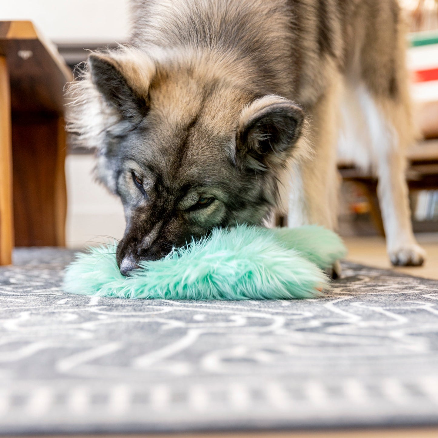 Bjorn toy | Purrfect Pet Kingdom