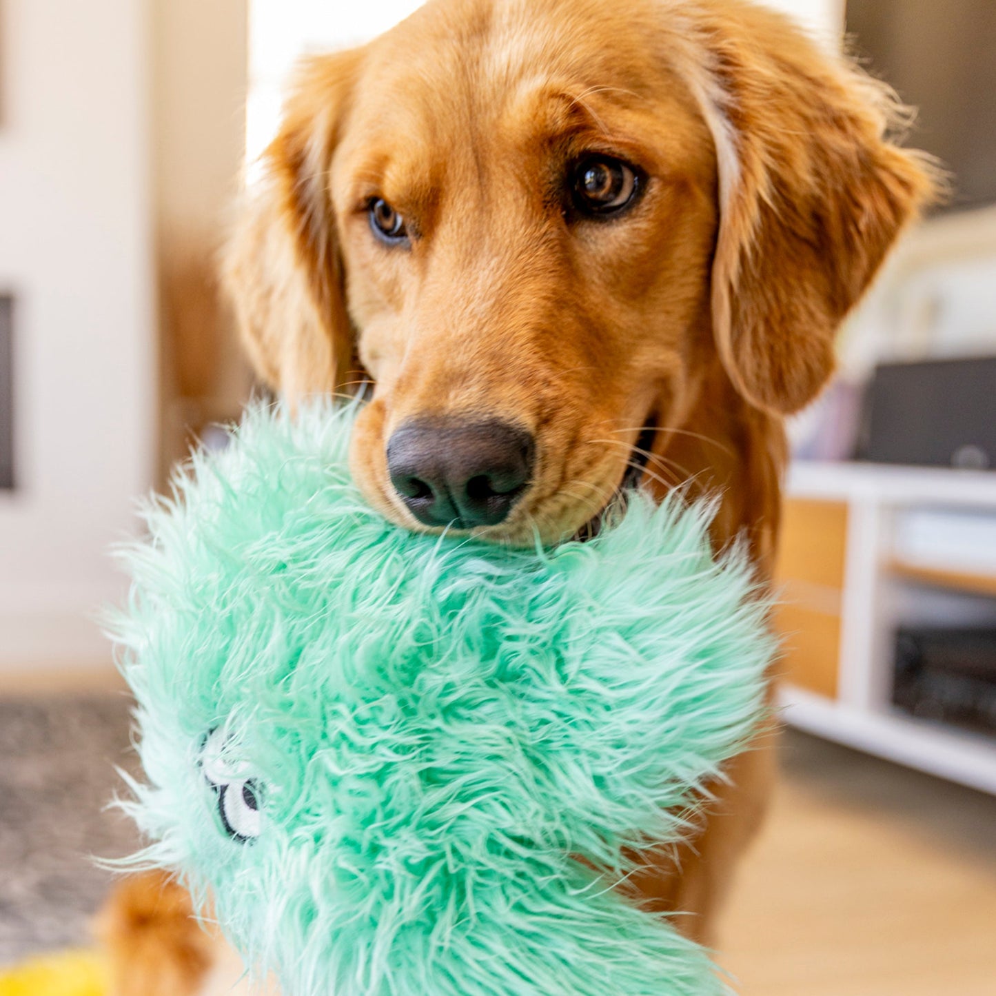 Helga toy | Purrfect Pet Kingdom