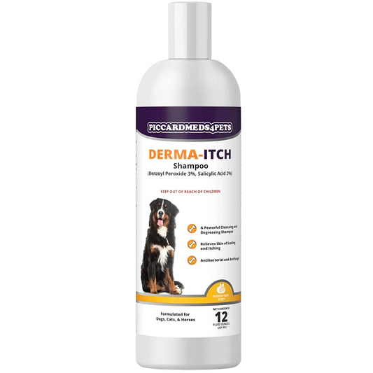 Piccardmeds4pets Derma-Itch Shampoo for Dogs 12 oz. + FREE