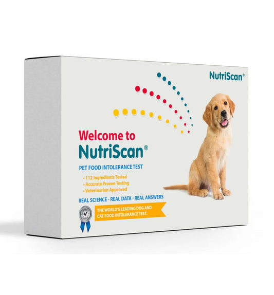 DOG FOOD ALLERGY/ SENSITIVTY TEST! - Health Products 4 All - ReNewedPet
