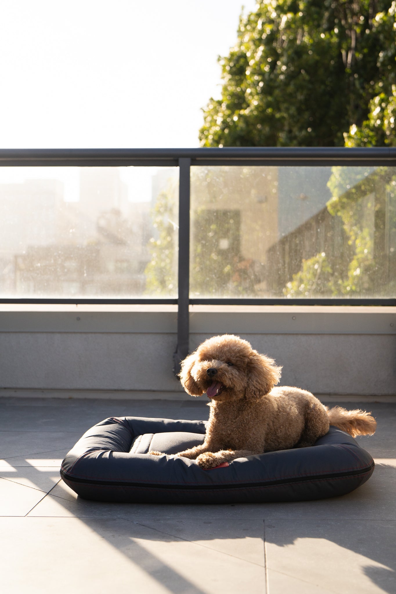 Dog Bed Waterproof Lounger Gray